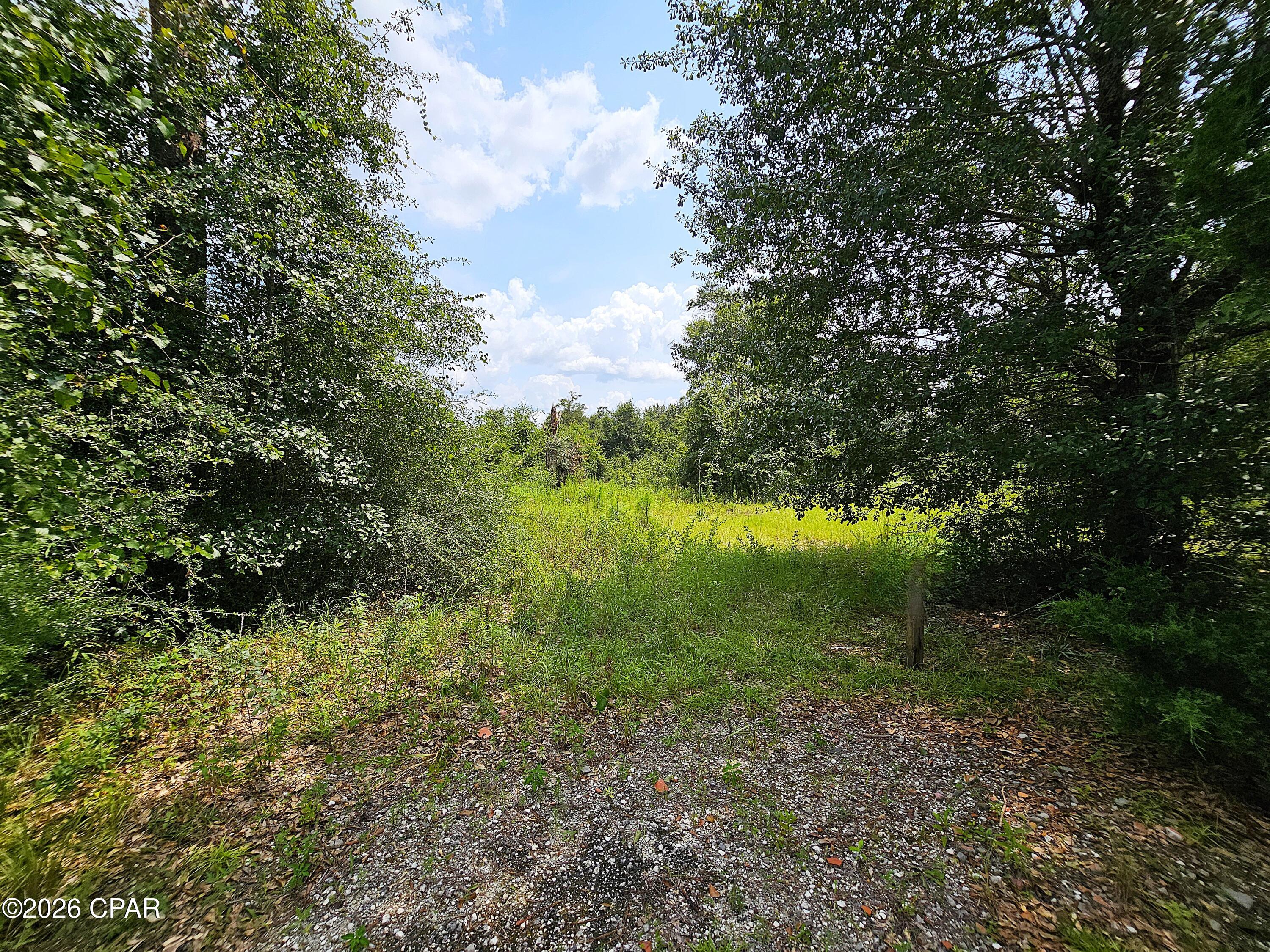 Cedar Wood Estates Ph I - Land