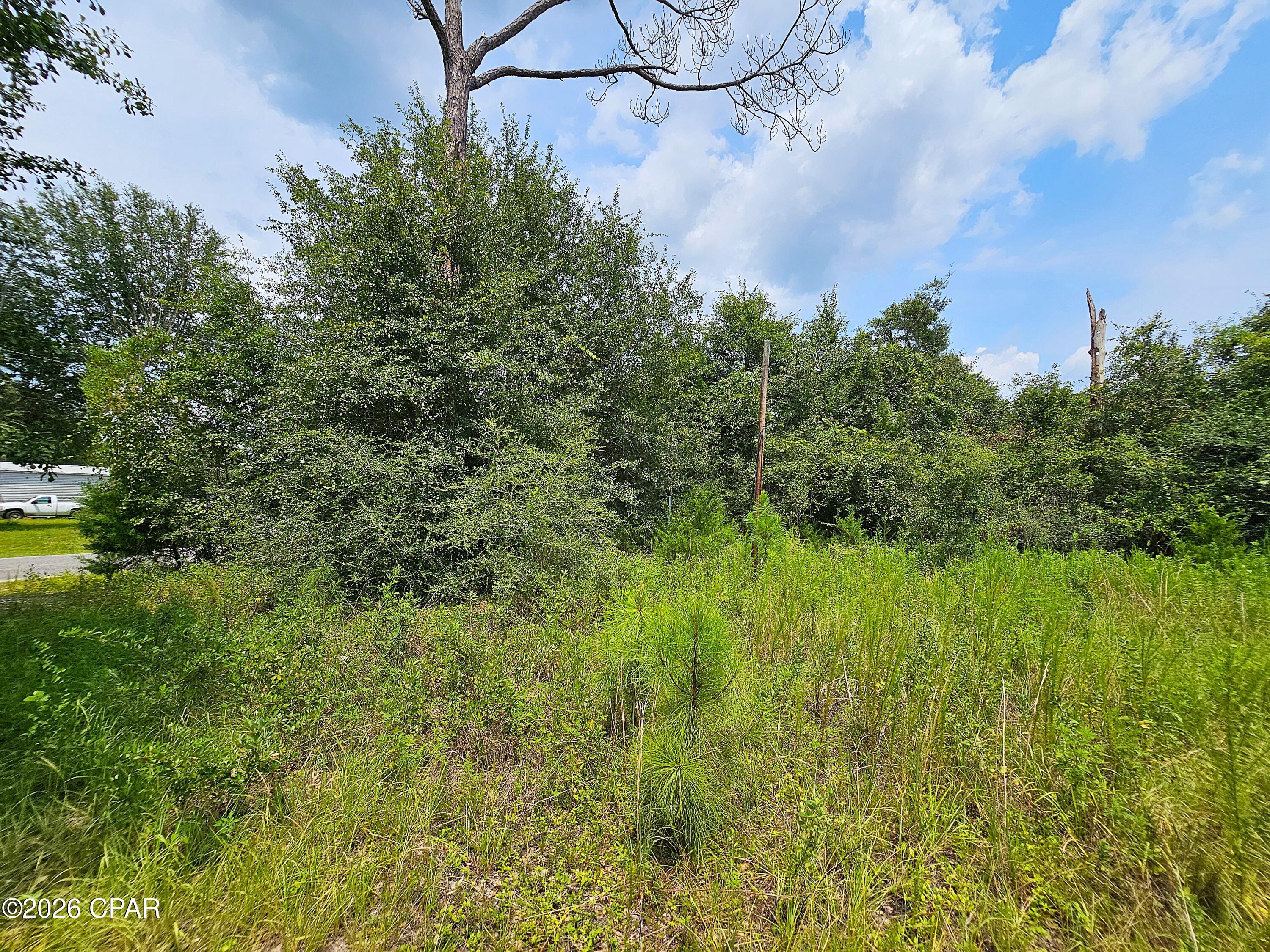 Cedar Wood Estates Ph I - Land