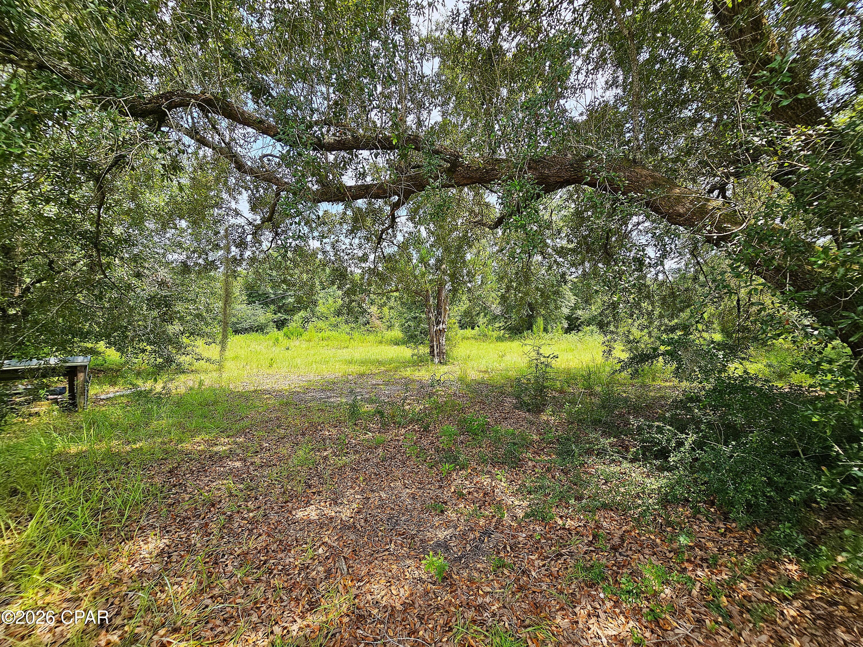 Cedar Wood Estates Ph I - Land