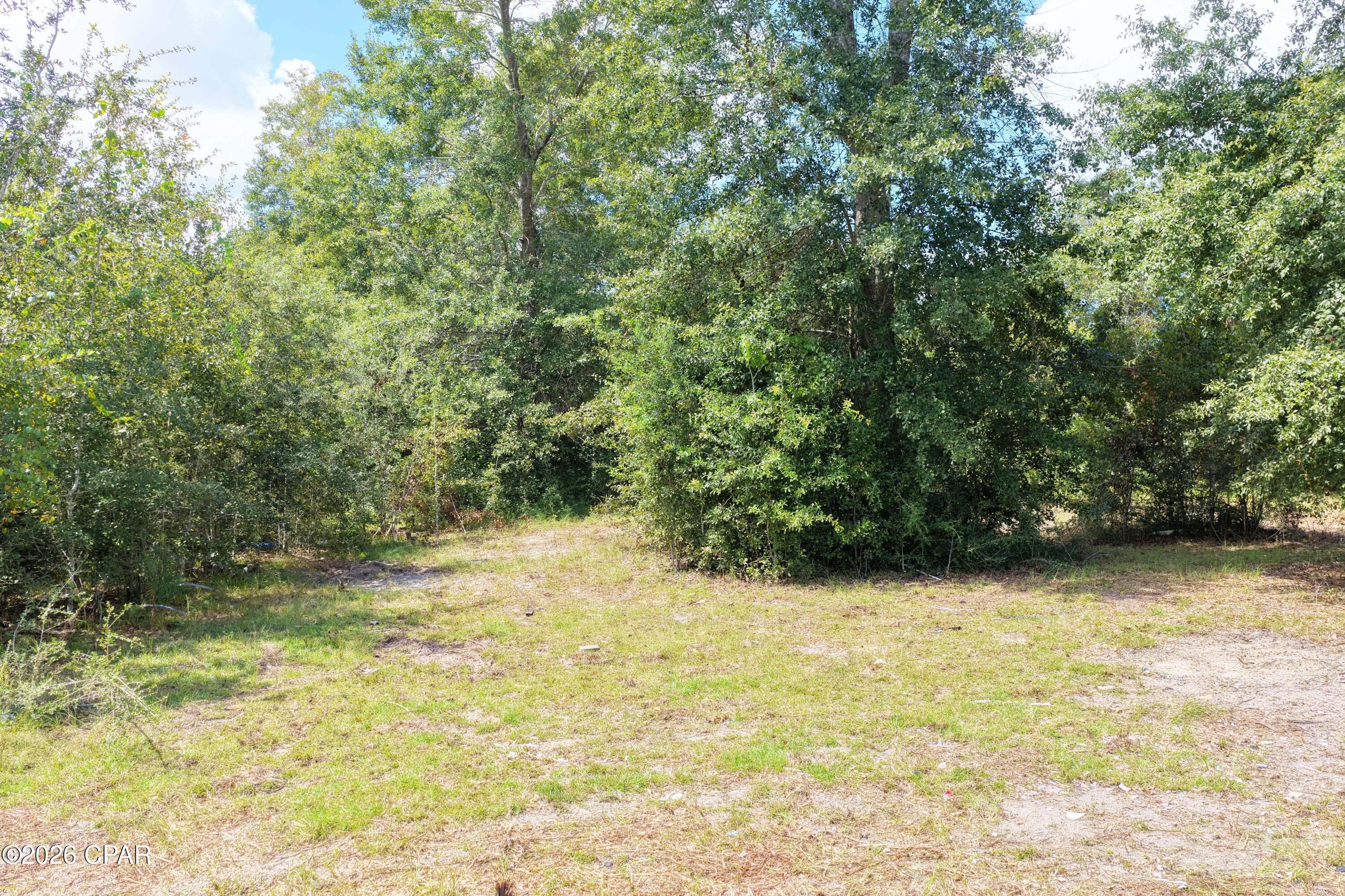 Cedar Wood Estates Ph I - Land