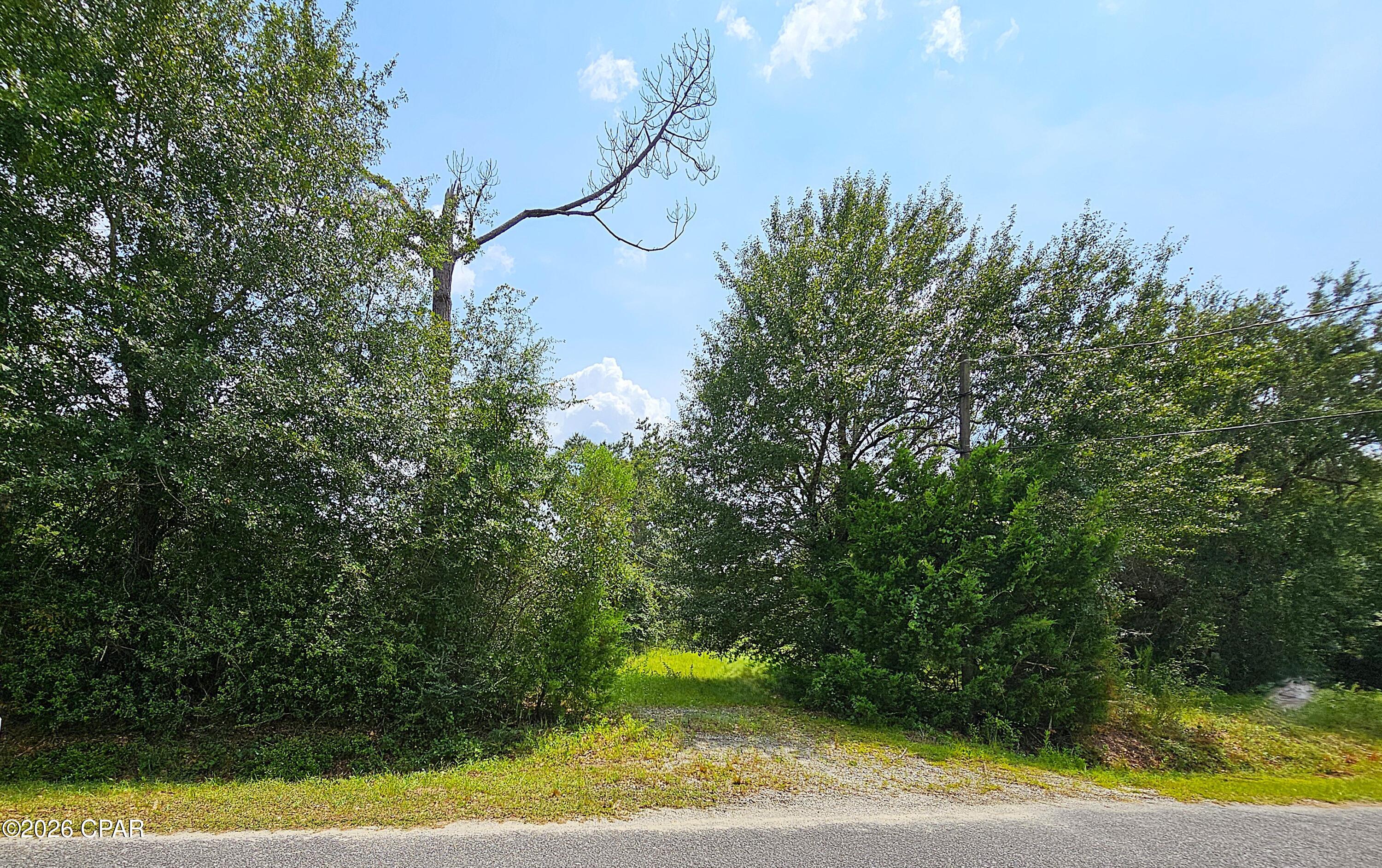 Cedar Wood Estates Ph I - Land