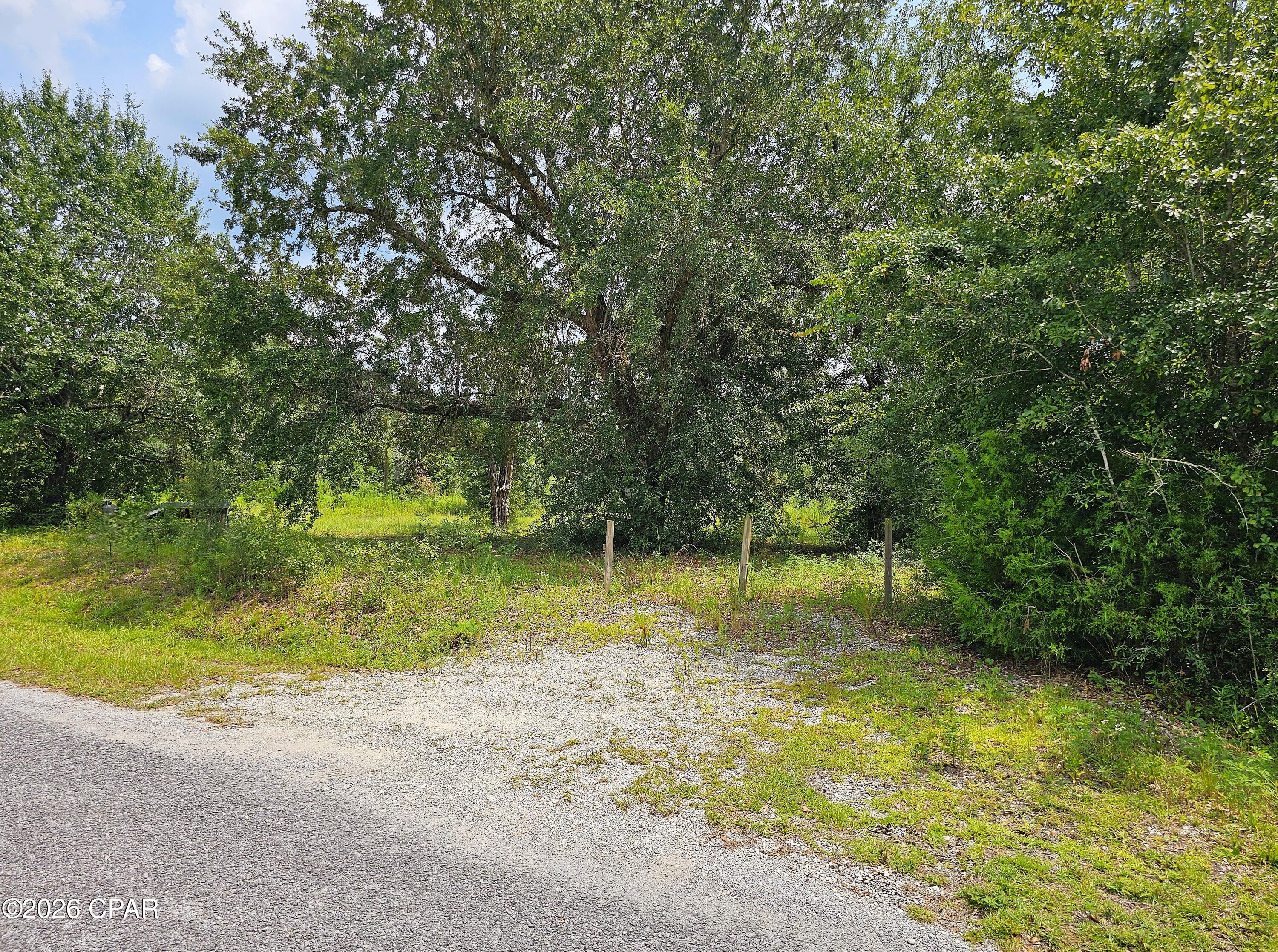 Cedar Wood Estates Ph I - Land