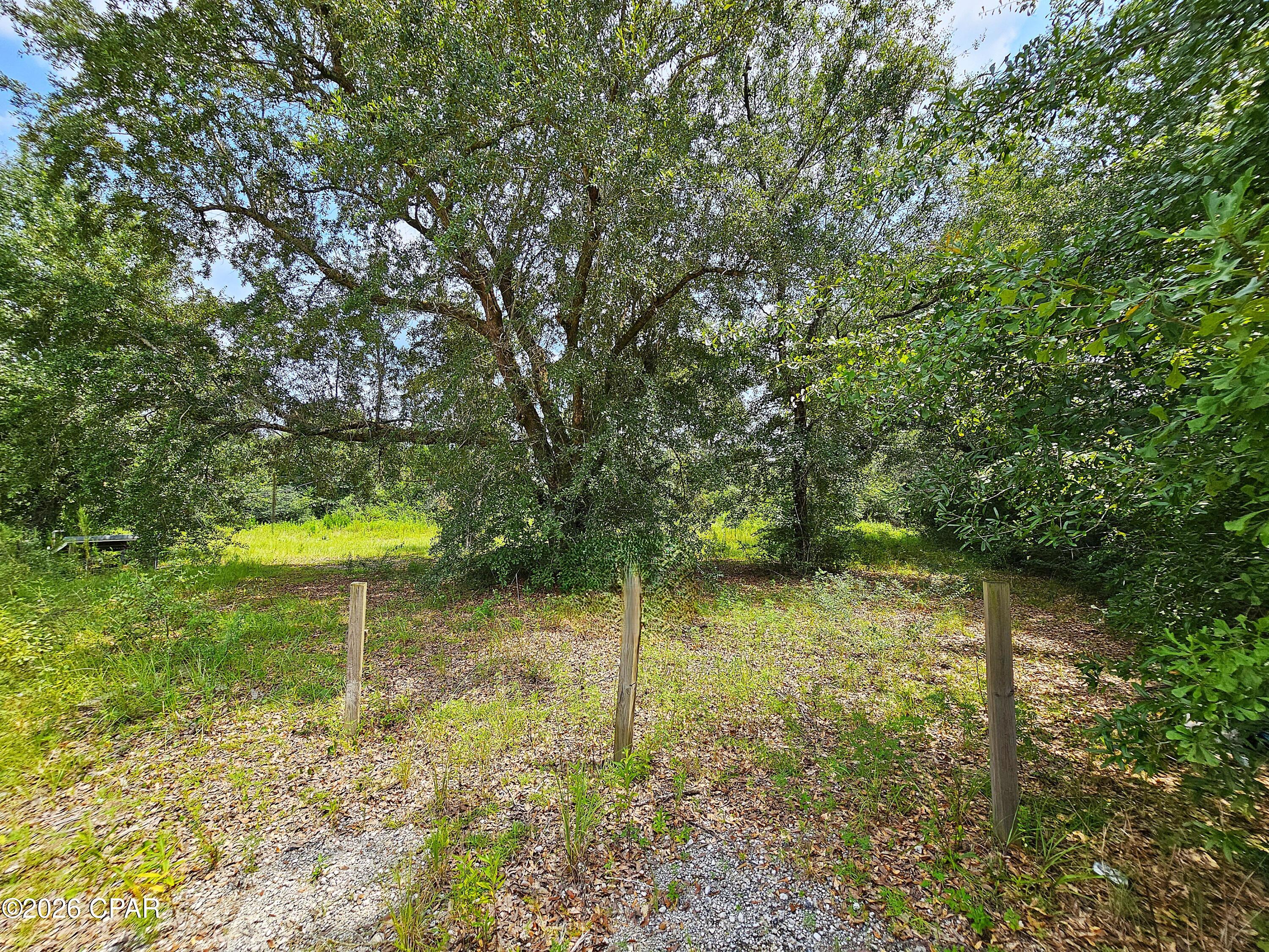 Cedar Wood Estates Ph I - Land
