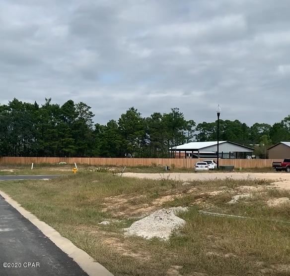 Multiple Lot purchase 

Osprey Pointe at Powell 



Lots 45x77, 30x82 and 40x91