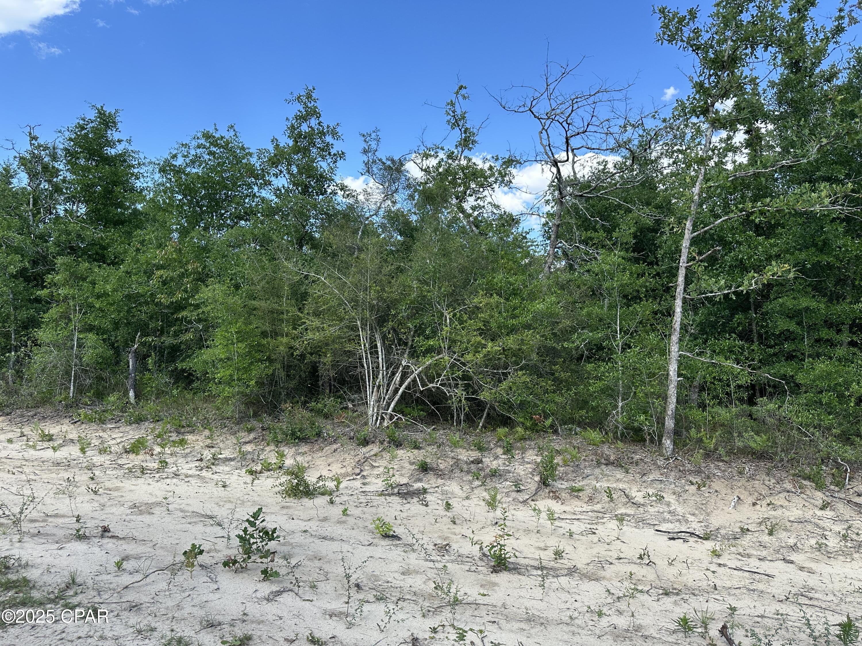 Lake Mckenzie Homes - Land