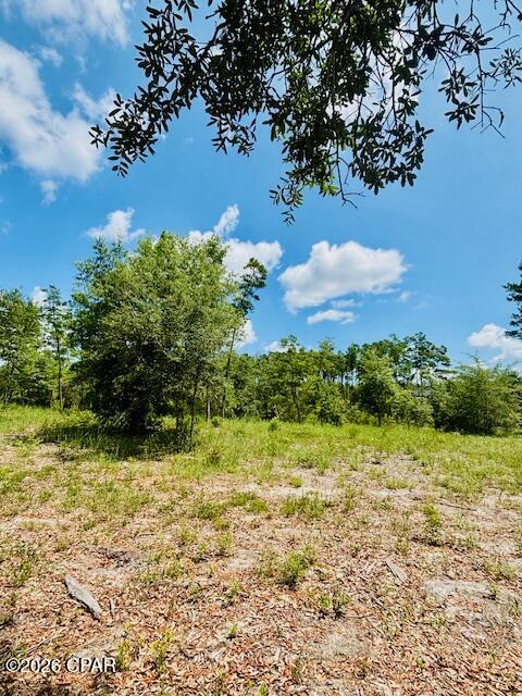 Long Lake Estates - Land