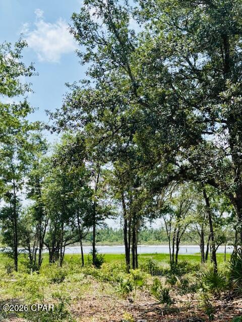 Long Lake Estates - Land
