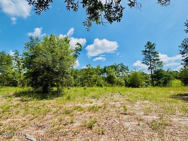 Long Lake Estates - Land