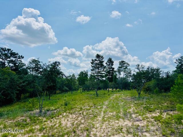 Long Lake Estates - Land