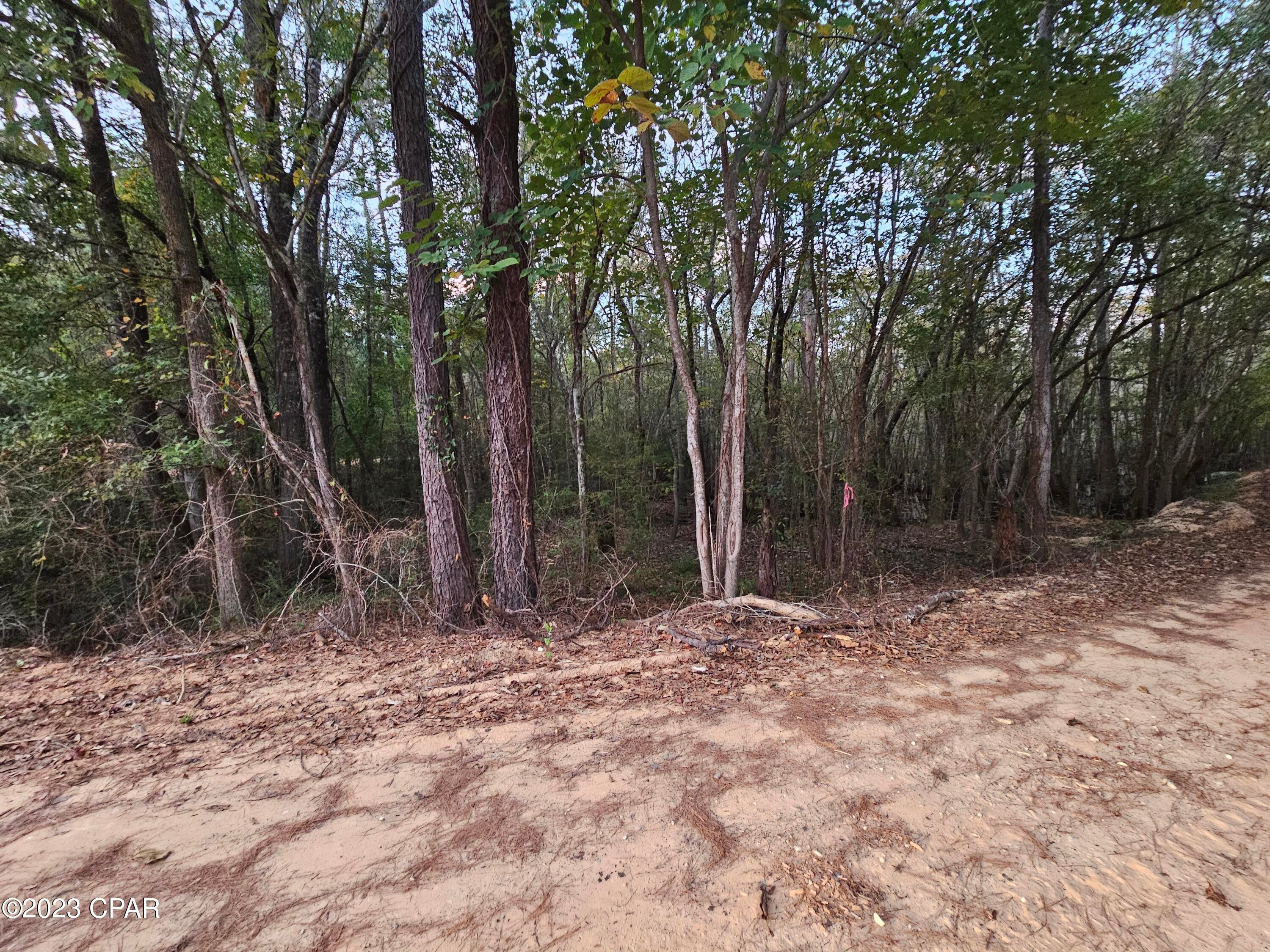 Holmes River Campsites - Land