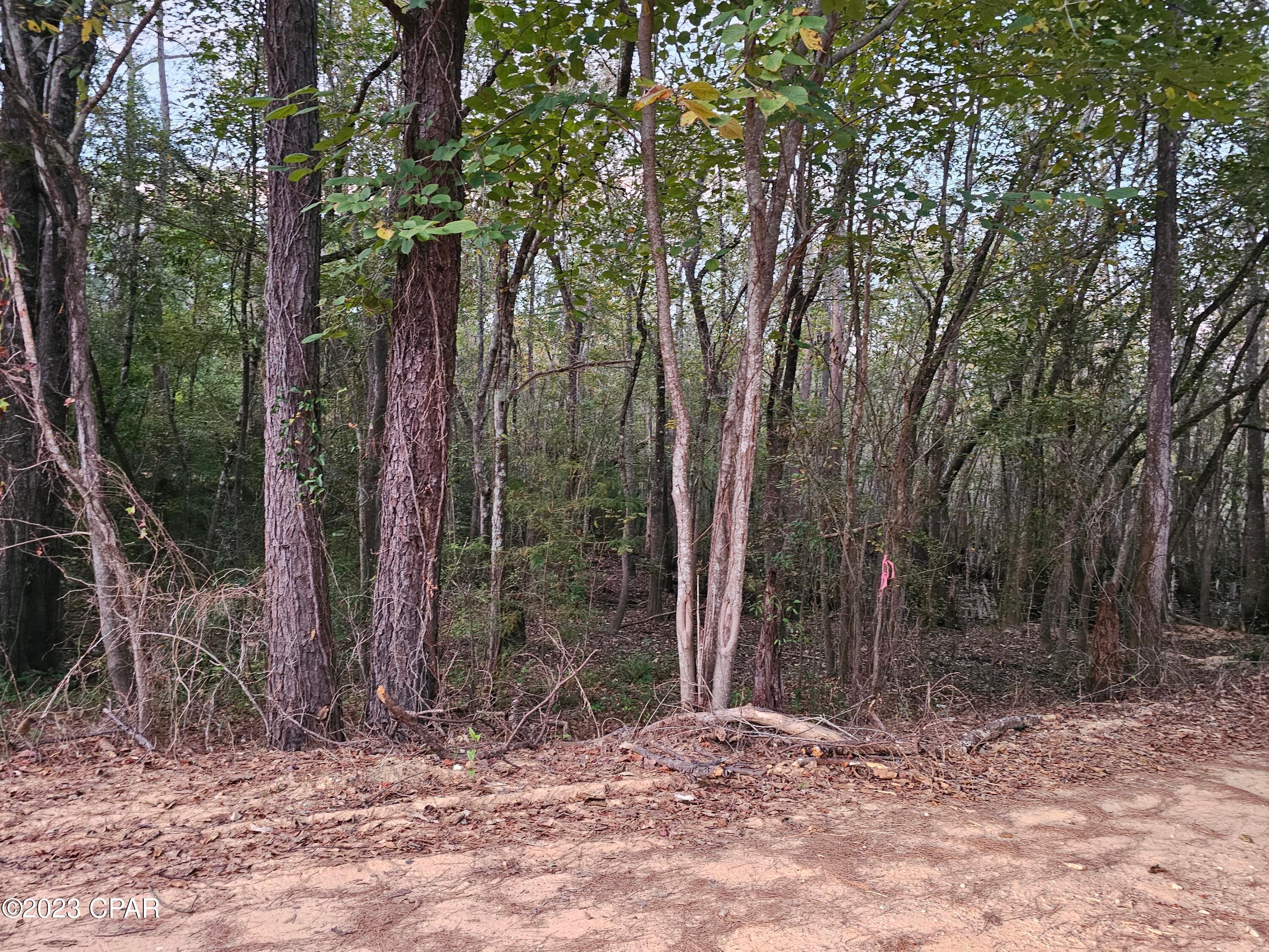 Holmes River Campsites - Land