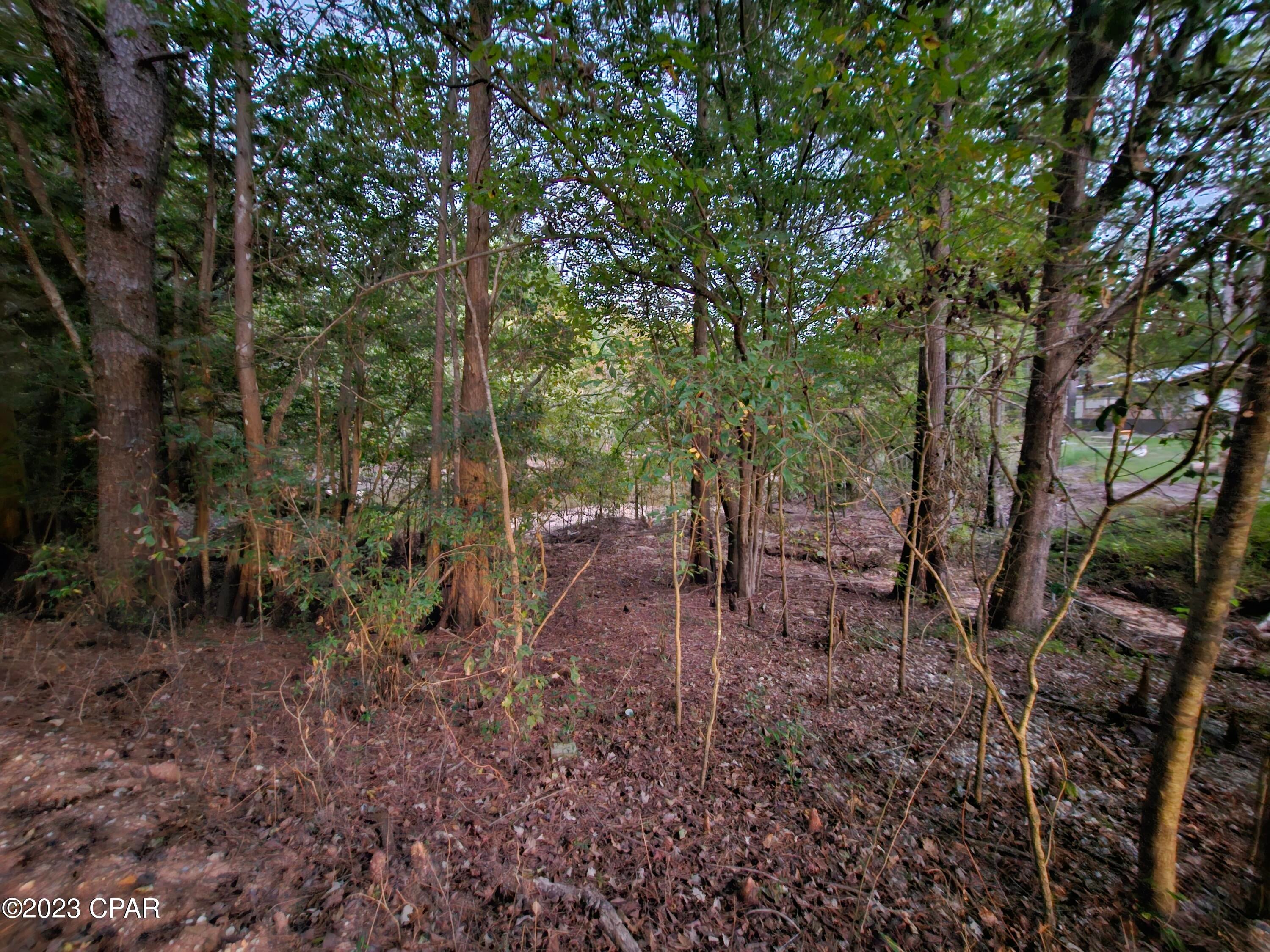 Holmes River Campsites - Land