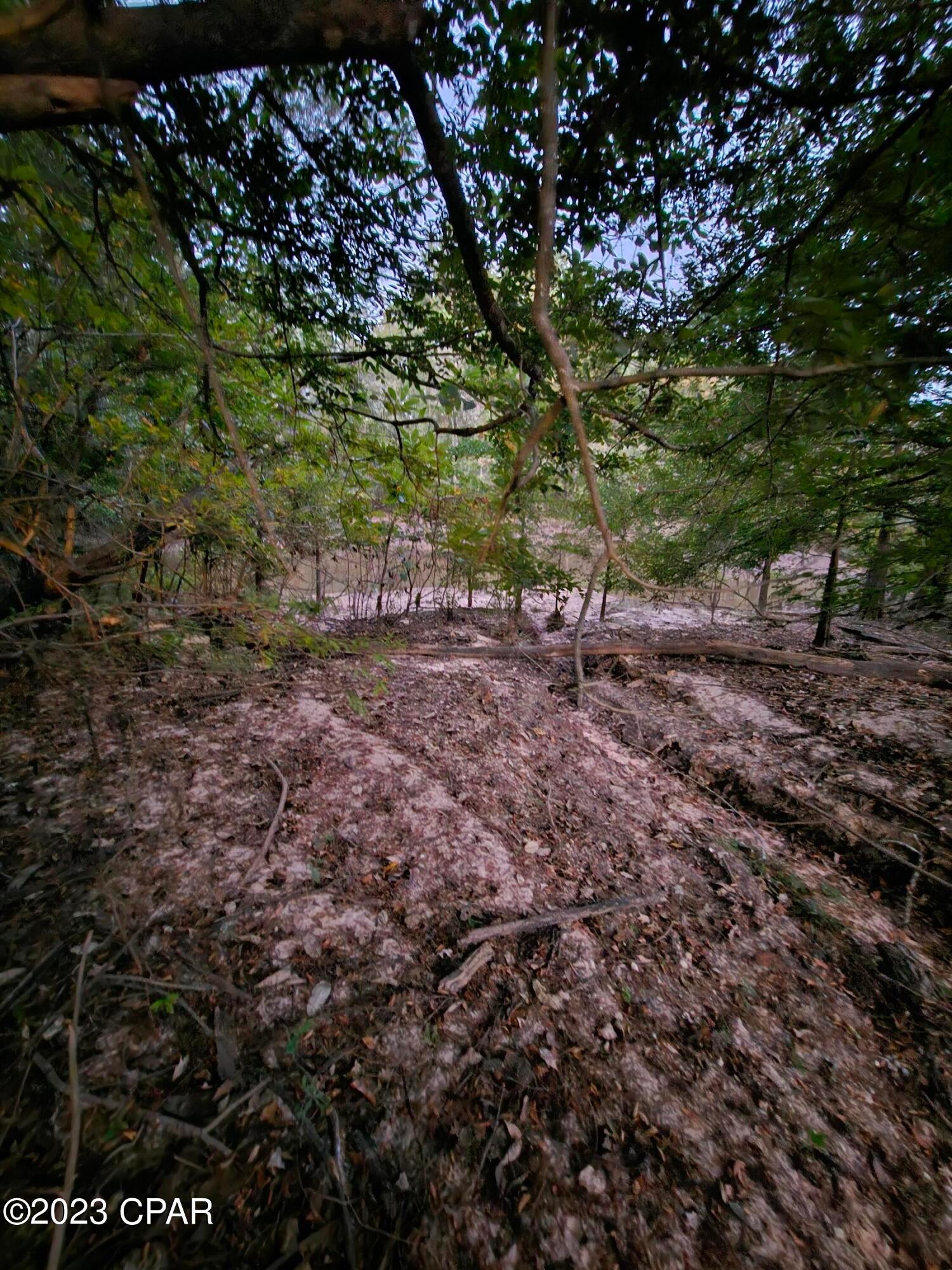 Holmes River Campsites - Land