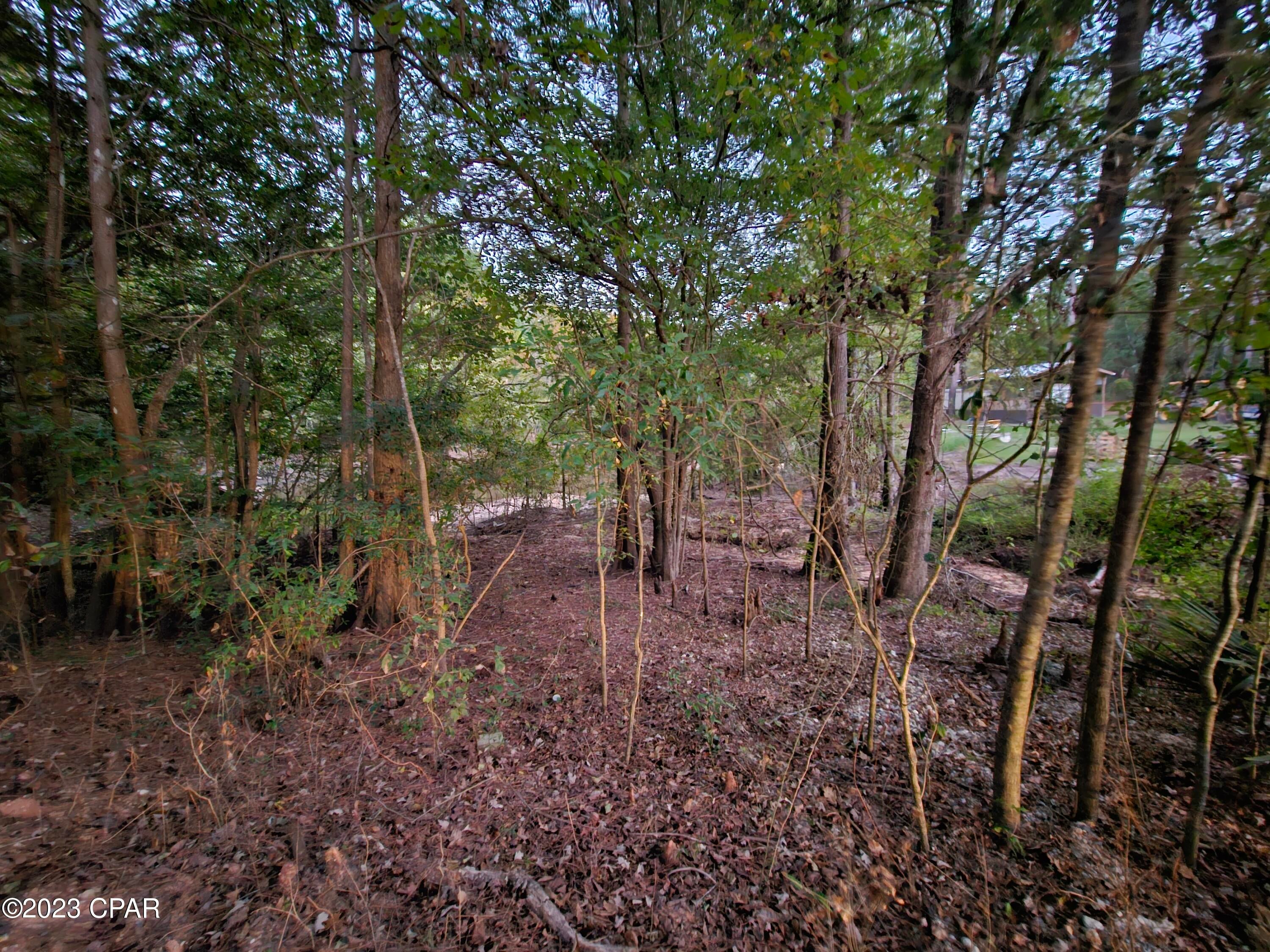 Holmes River Campsites - Land
