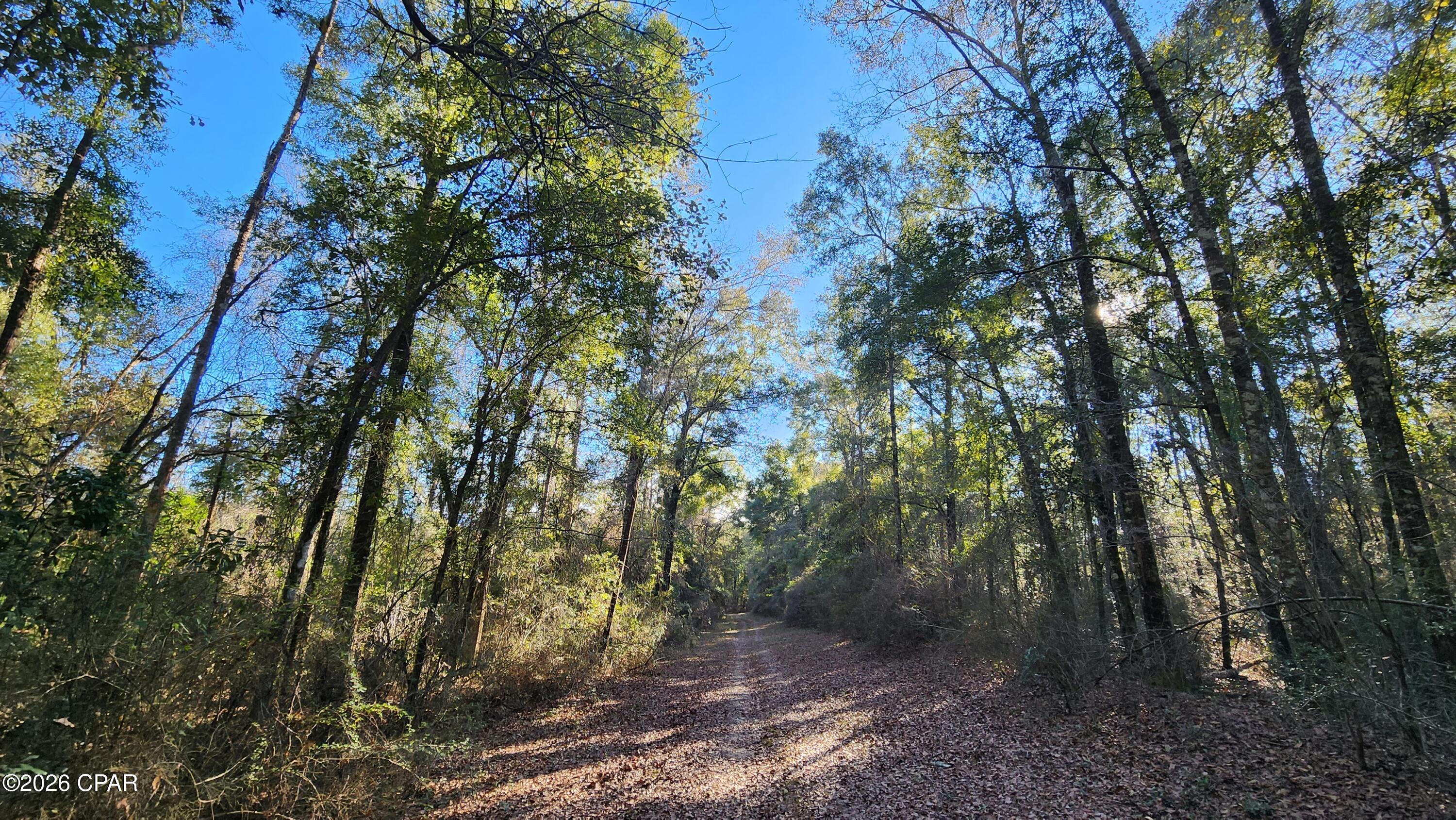 [No Recorded Subdiv] - Land