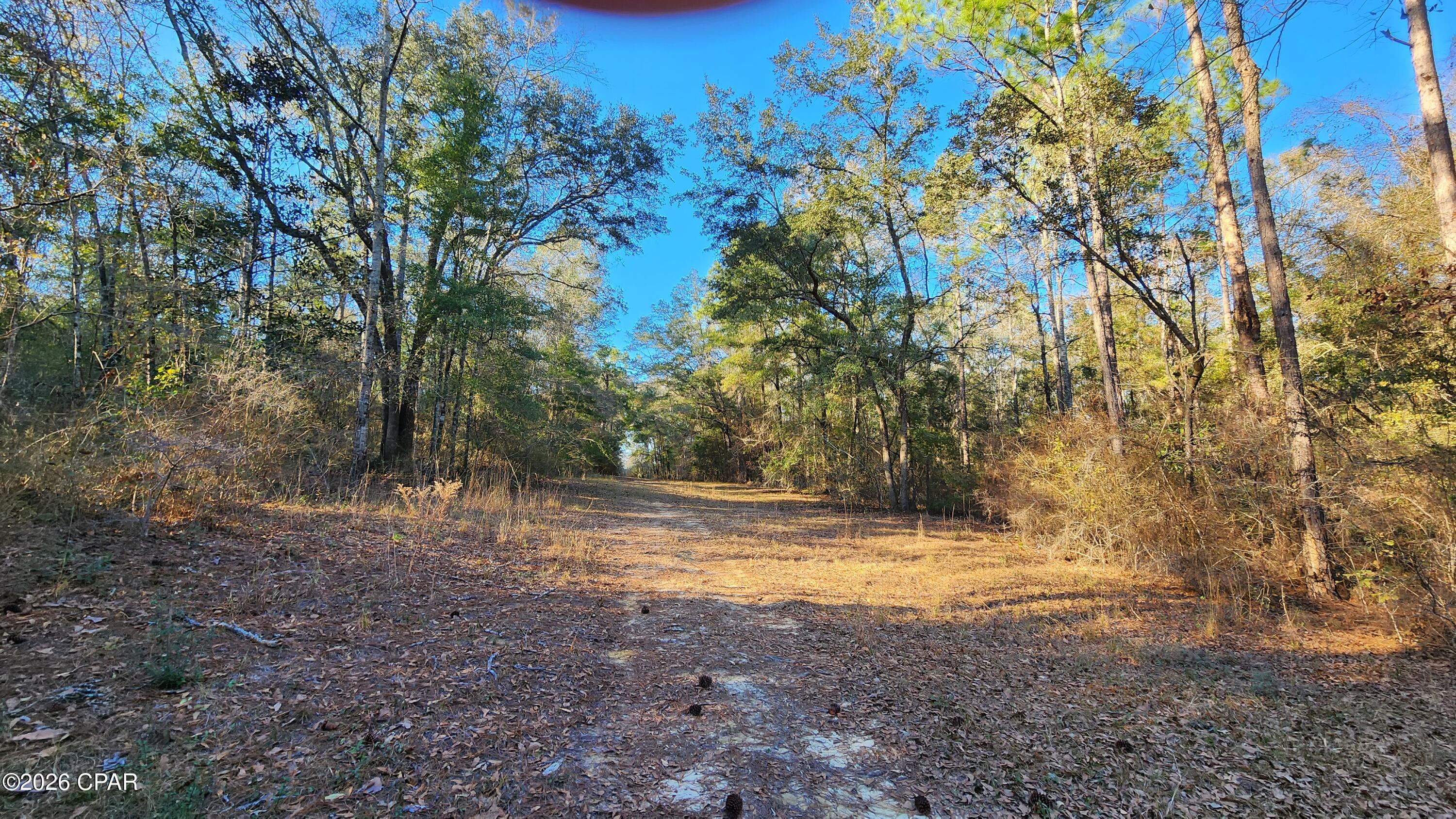 29 Beautiful Acres of land in Graceville Florida ready for you and your newly built home. Located about 60 miles to the Gulf of Mexico