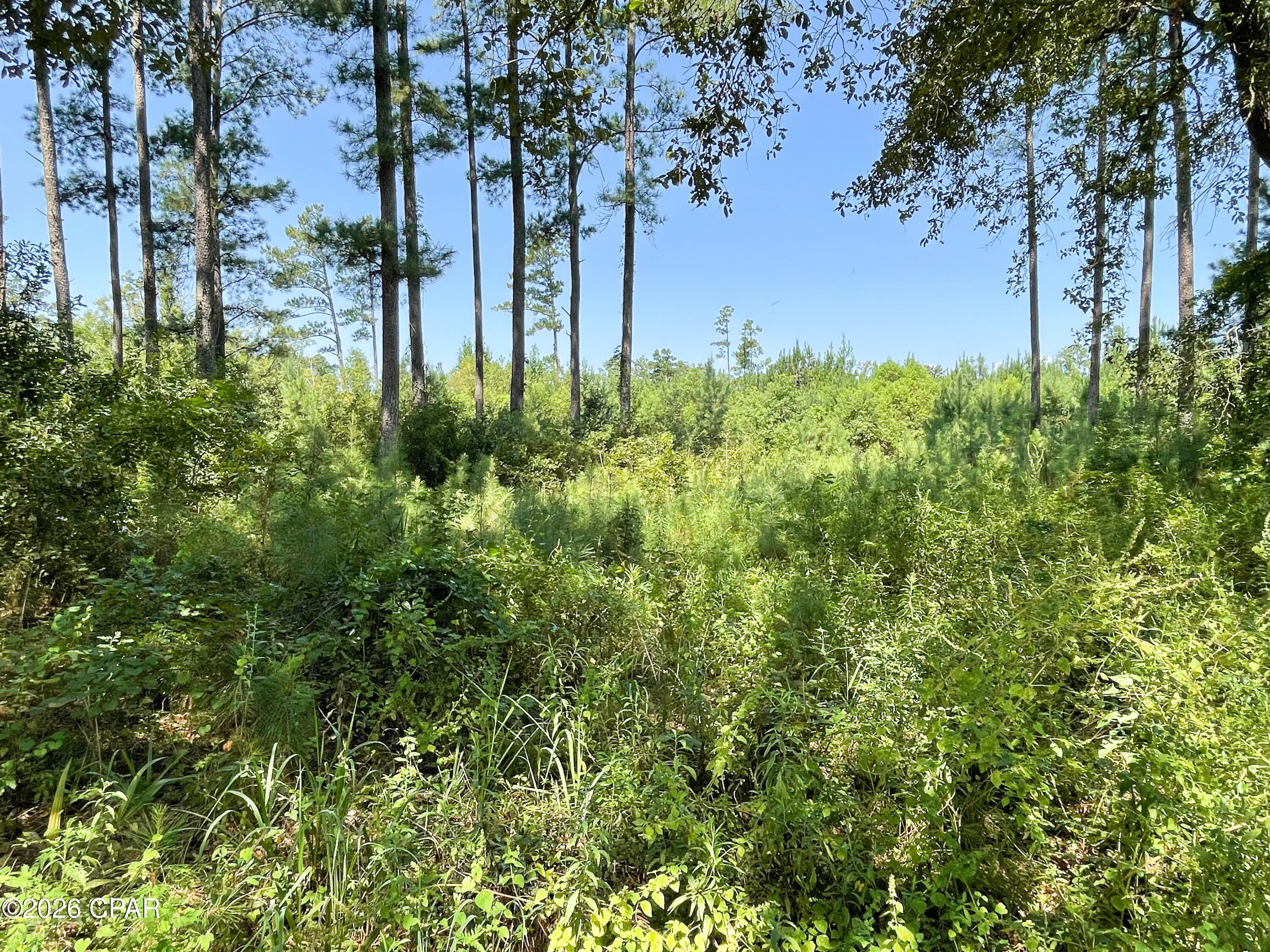 No Named Subdivision - Land