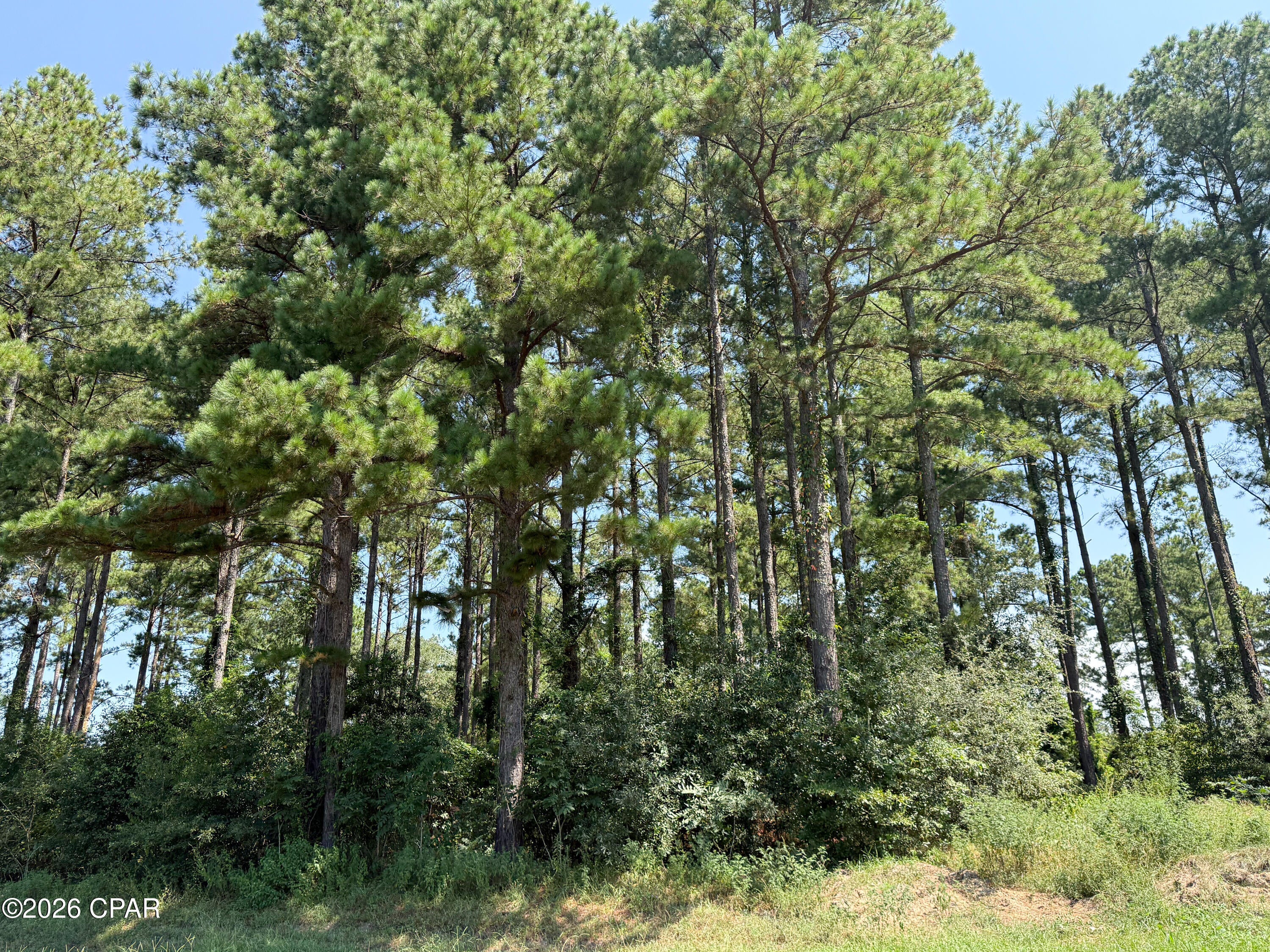 No Named Subdivision - Land