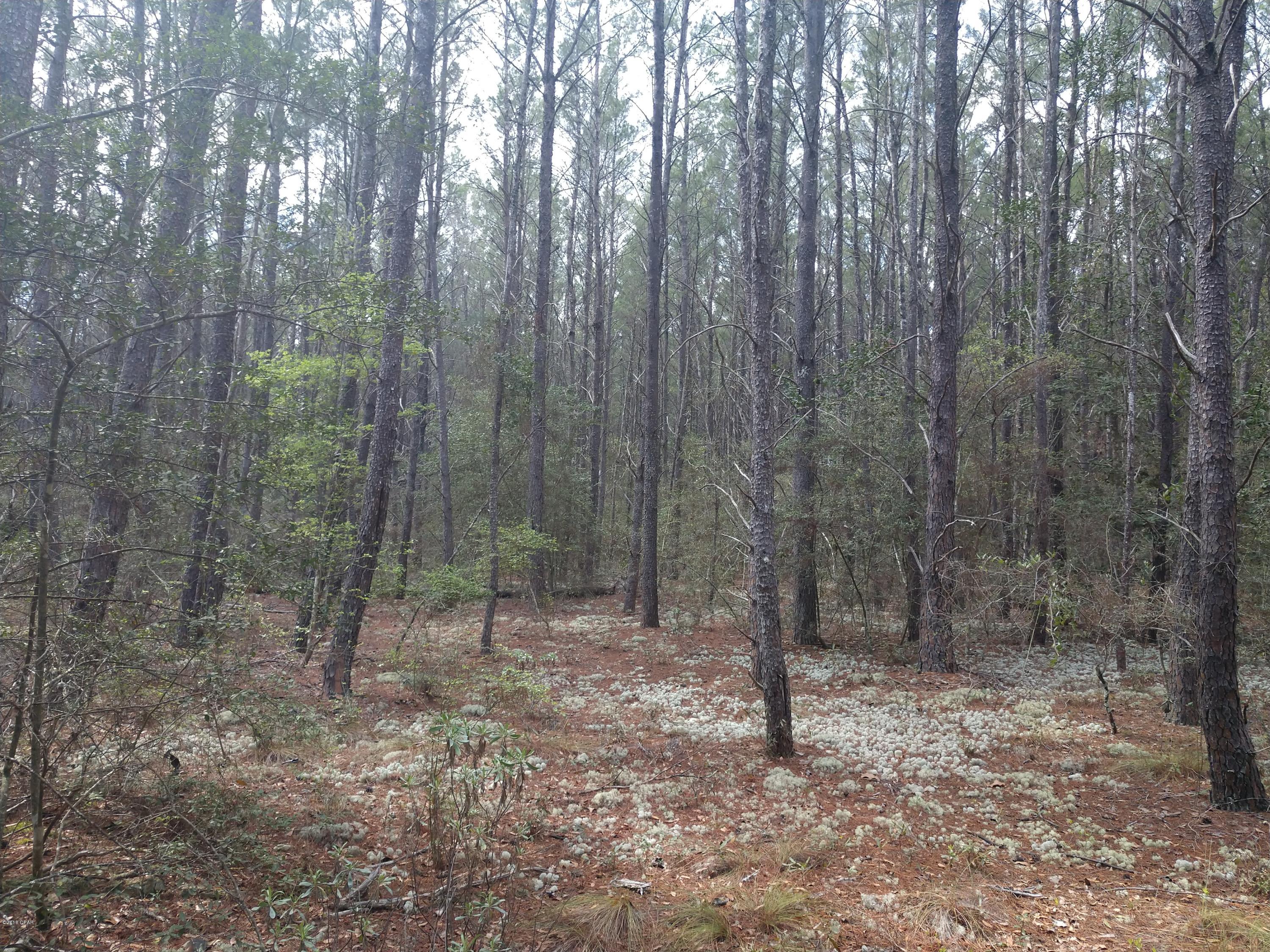 No Named Subdivision - Land