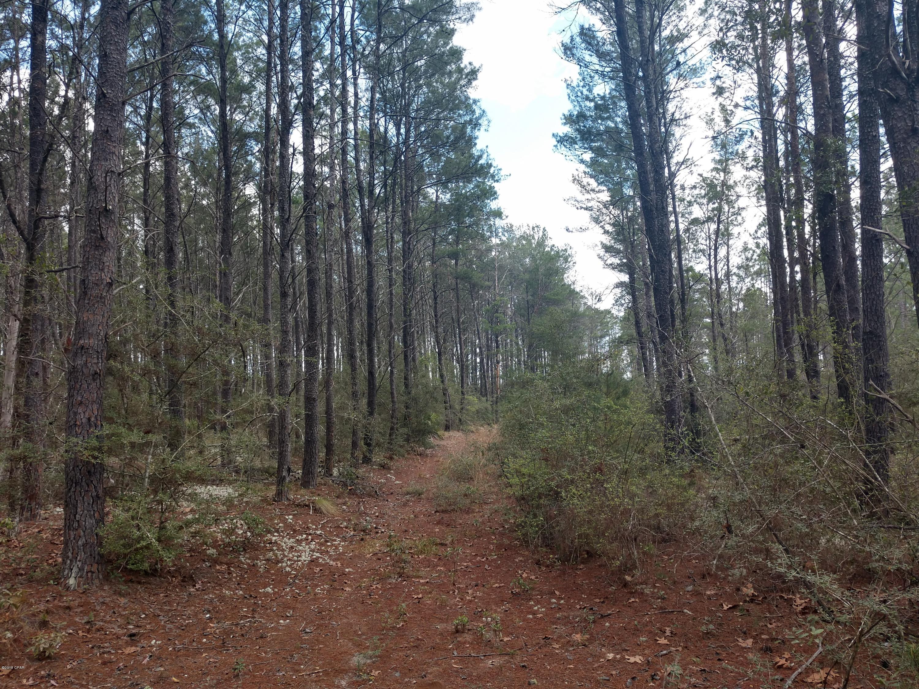 No Named Subdivision - Land