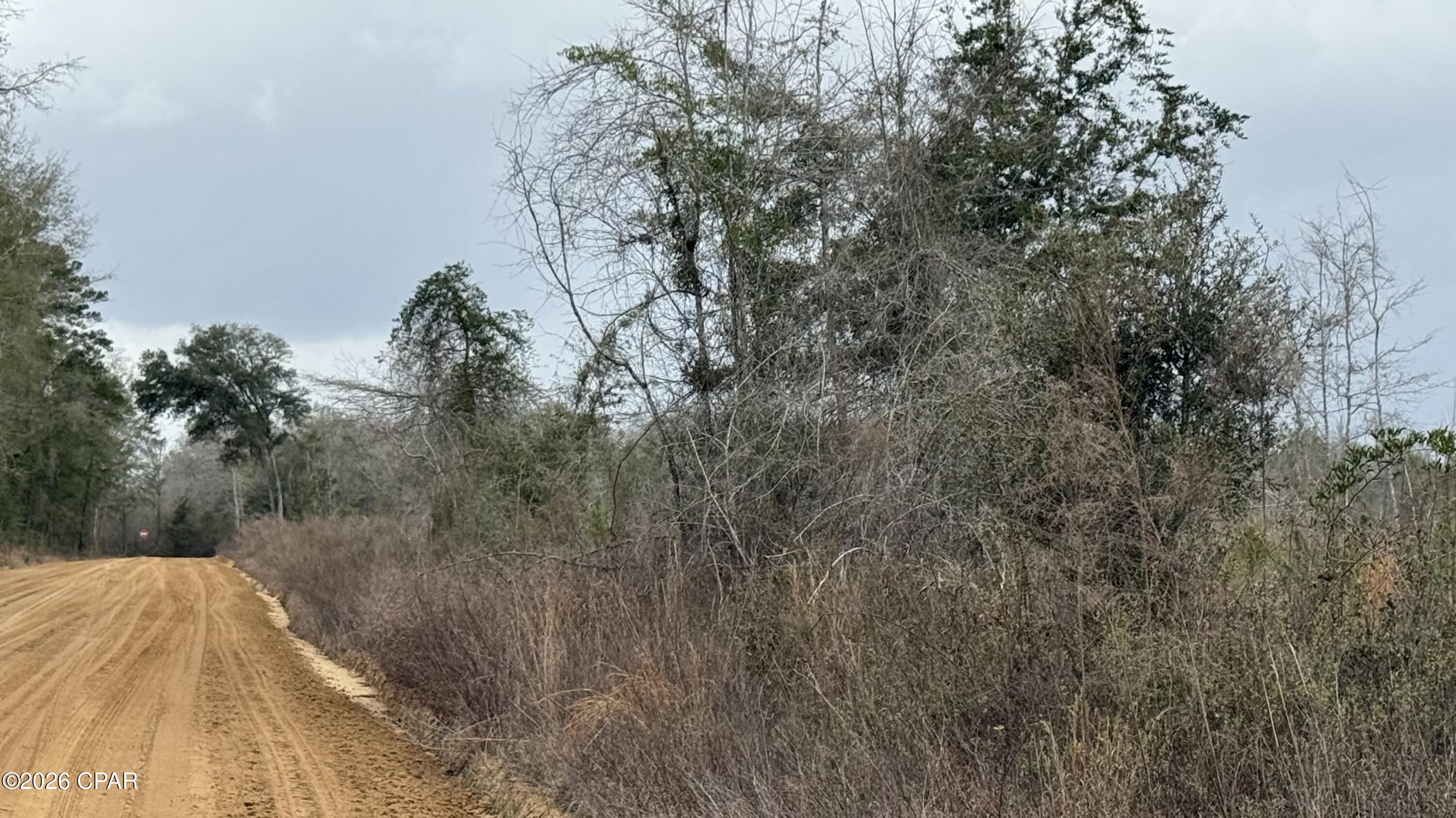 Country living at its finest. Two 20-acre parcels to choose from. Come build your dream home in this country setting.