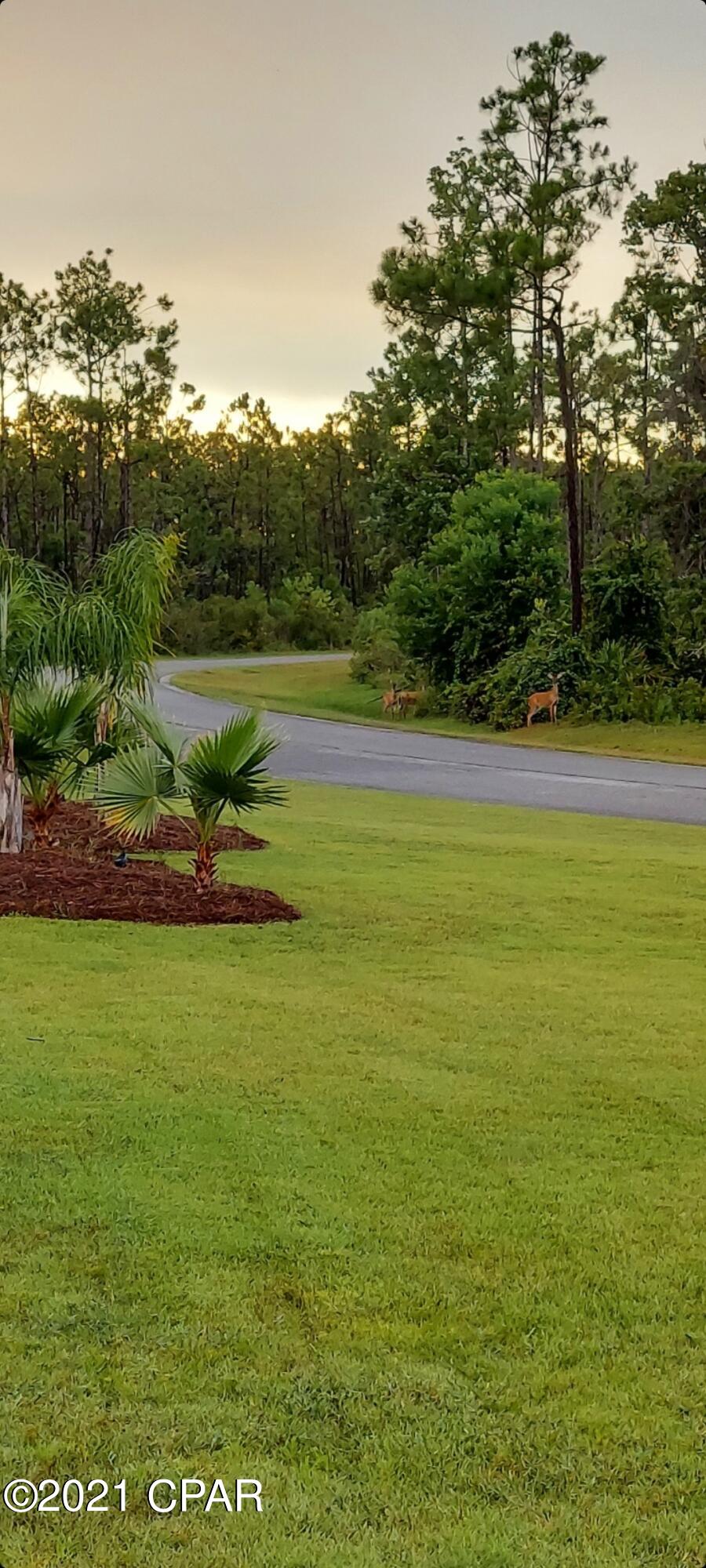 Laird Bayou - Residential