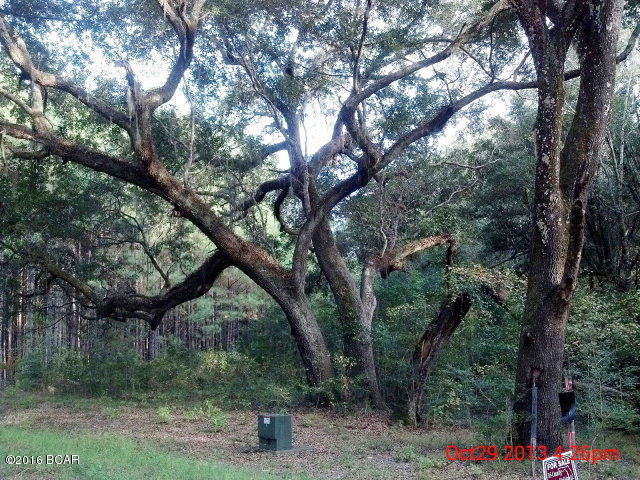 Reedy Creek - Land