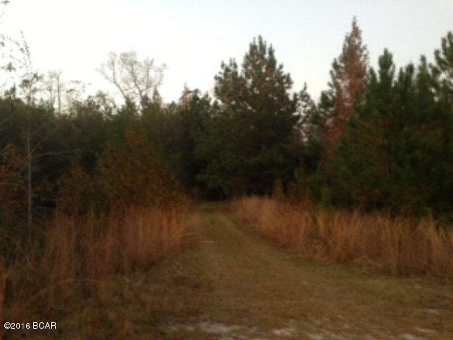 If you are looking for your own slice of heaven, here it is. Absolutely beautiful 69.51 acres that is full of very large hardwoods. Ten Mile Creek runs across the backside of the property and in addition there is a man made pond. There is an old home site on the property so it is assumed there is a well and septic but it is not warrantied. There is over 865ft of hwy frontage with this property. Call for details today.