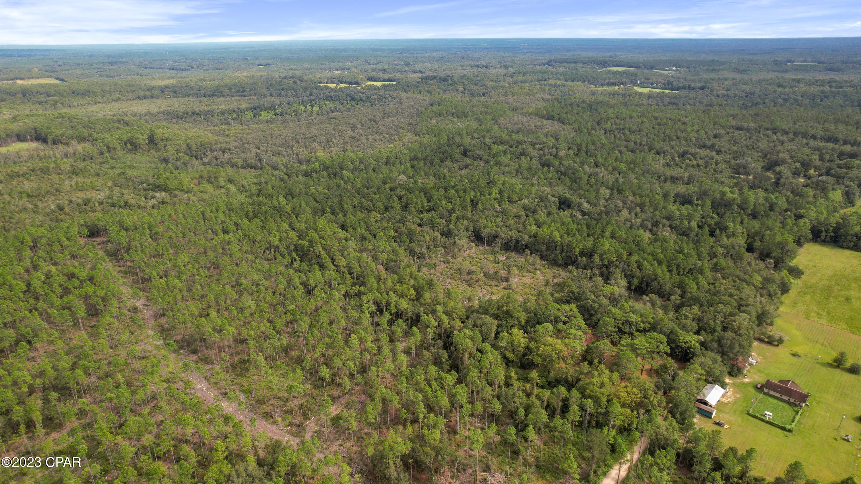 Explore your very own 210 acres of pristine wilderness, a true hunter's paradise awaiting your adventure. With the potential for so much more, this expansive raw acreage is a hidden gem. Whether you're an avid hunter looking for your own private wilderness, a camping enthusiast seeking a secluded escape, or someone with a vision to build serene rural retreats, this offers endless possibilities.
 
Two parcels are included in this remarkable offering. The first parcel, 00000000-00-5130-0000, boasts a unique blend as 1/3 of this parcel is designated as Agriculture Flood Zone X, allowing for the possibility of one home per every 10 acres. 2/3 is Conservation, ensuring its preservation and natural beauty. 
The second parcel is the reverse with 2/3 being buildable and 1/3 being conservation.

On the second parcel, 00000000-00-5130-0002, you'll find a landscape that's equally captivating. Approx. 56% of this parcel is designated as Flood Zone X, with 2/3 of the land being available for agriculture, once again allowing for one home per every 10 acres.

The remaining 1/3 of this parcel is designated as Conservation Flood Zone A, providing a stunning natural habitat. A picturesque pond or water feature graces the southwest side of the property, adding to its charm. 

Don't miss out on the chance to make this pristine acreage your very own. Contact us today to learn more and take the first step toward realizing your dreams in this natural paradise.