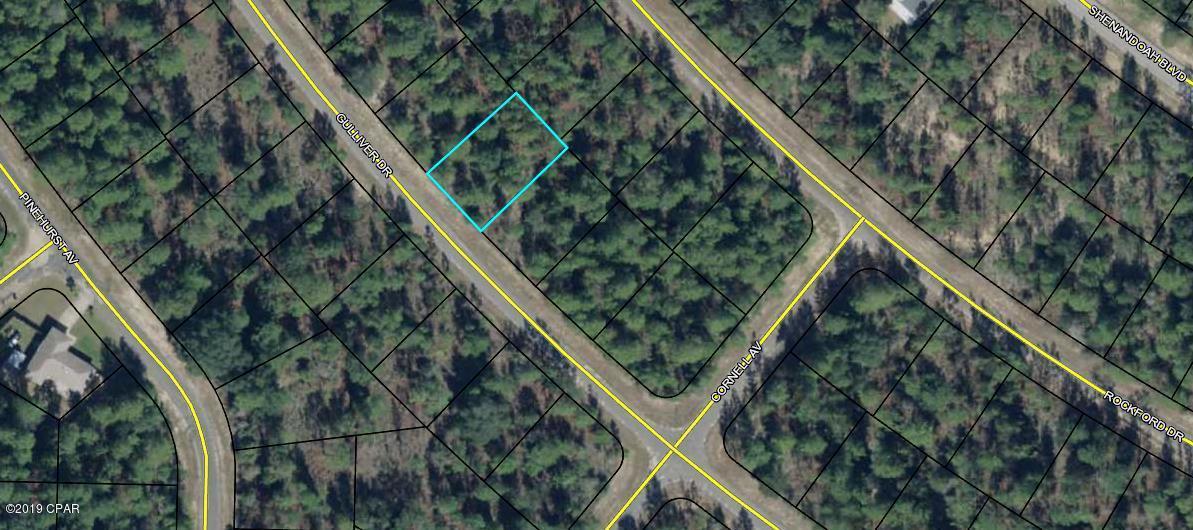 Building lot in Sunny Hills. Convenient location just off Shenandoah Blvd. Adjoining lot 12 (owned by brother) is also available for the same price and terms. Sunny Hills is located 25 miles north of Panama City and 18 miles south of Chipley. In this community you will find a popular 18 hole public golf course, Boat Lake with it's own swimming beach, and many other fine fishing and recreation lakes. Great opportunity to invest in the future of the Florida Panhandle. Buyer to pay Title Insurance, Closing Fee, and Doc Stamps on the Deed.