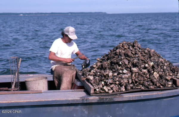 Apalachicola - Residential