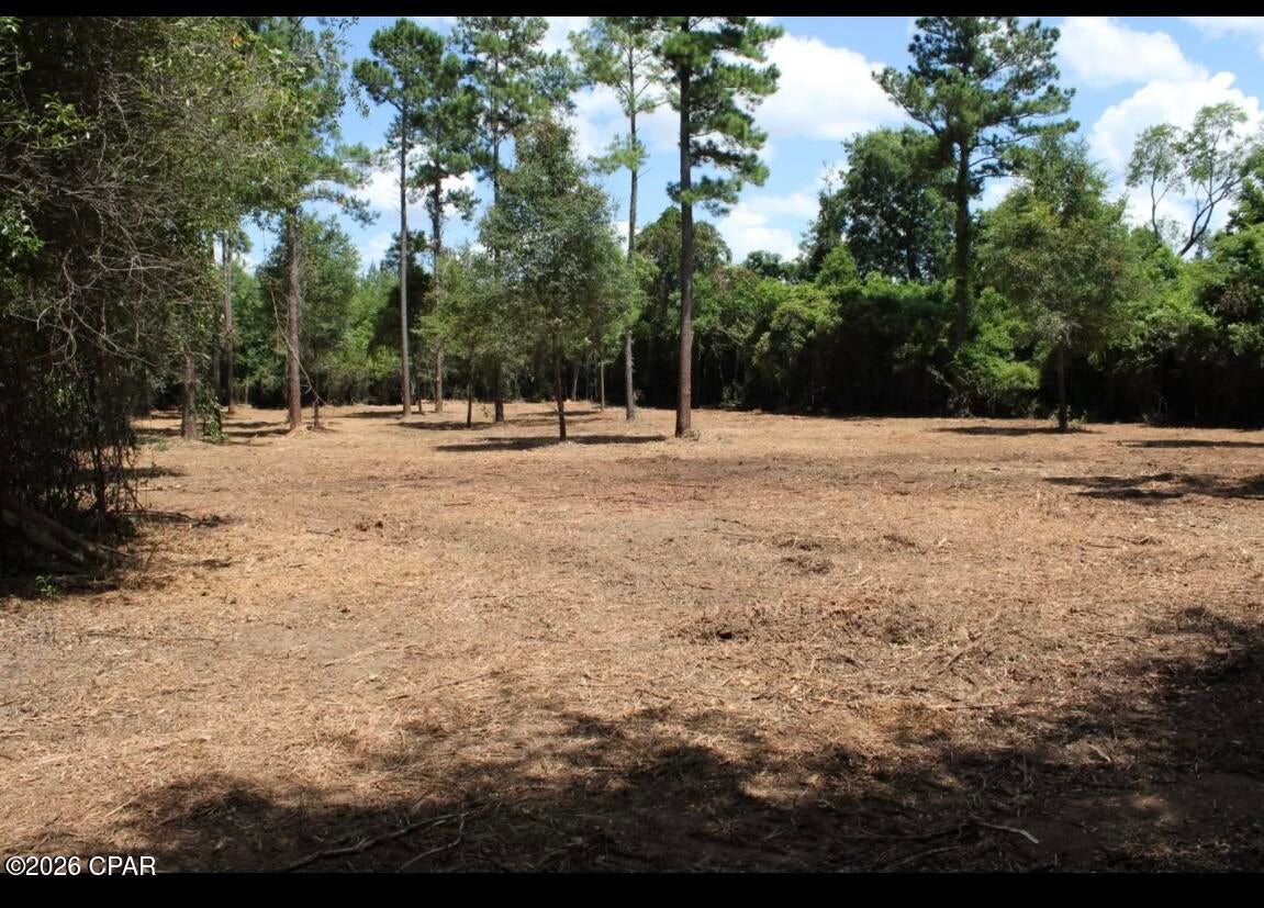 Blue Springs - Land