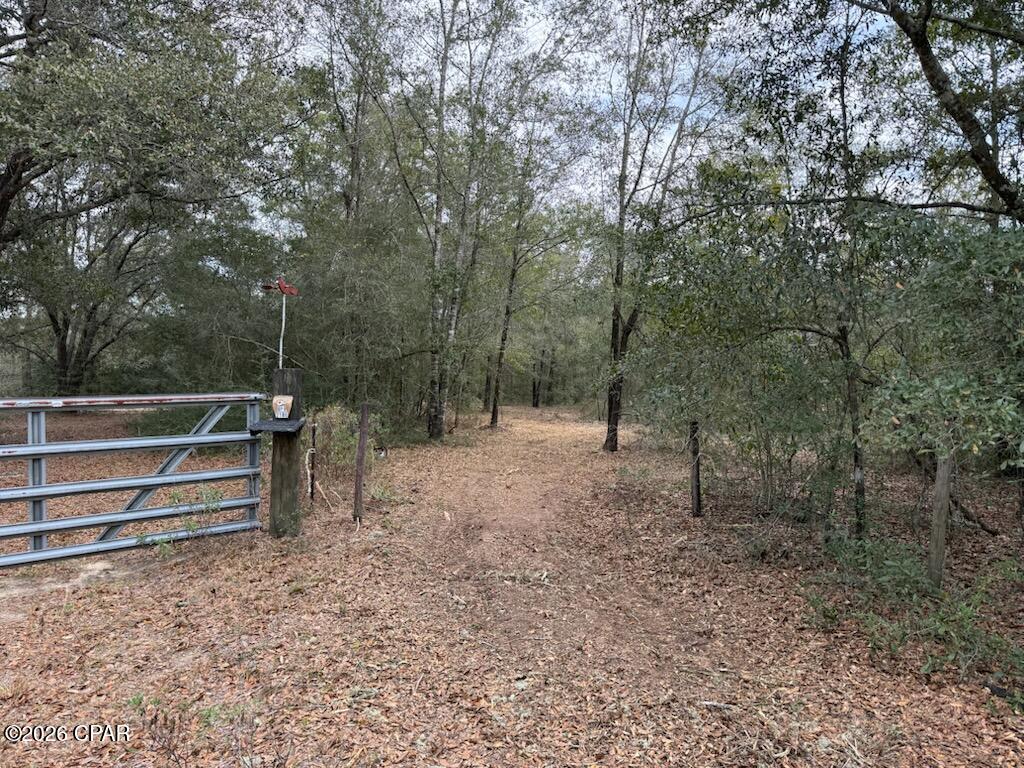 If acreage and seclusion are what you're looking for, this is the perfect place to put down roots. This beautiful 5± acre parcel offers the privacy and elbow room you've been dreaming of, while still keeping you conveniently connected to everything you need. Located just a few miles from Highway 231, you'll enjoy a quick, direct drive south to the white-sand beaches of Panama City Beach or north to Dothan for shopping, dining, and everyday conveniences.
Recently mulched, the property is cleared and ready, giving buyers a valuable head start on creating their ideal homesite. With plenty of space for a custom home, workshop, garden, or even a small hobby farm, this versatile tract offers endless possibilities. FEMA map shows property is within flood zone, buyer to perform due diligence.