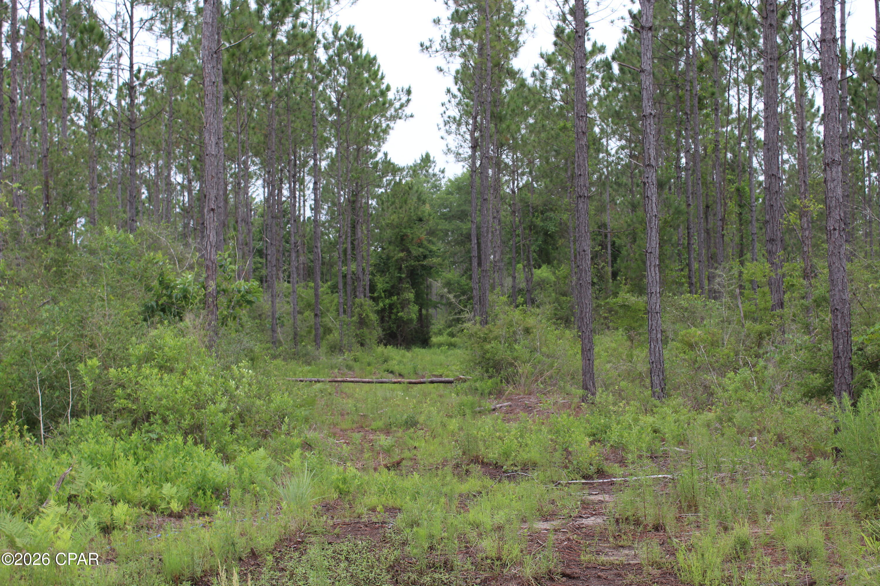 No Named Subdivision - Land