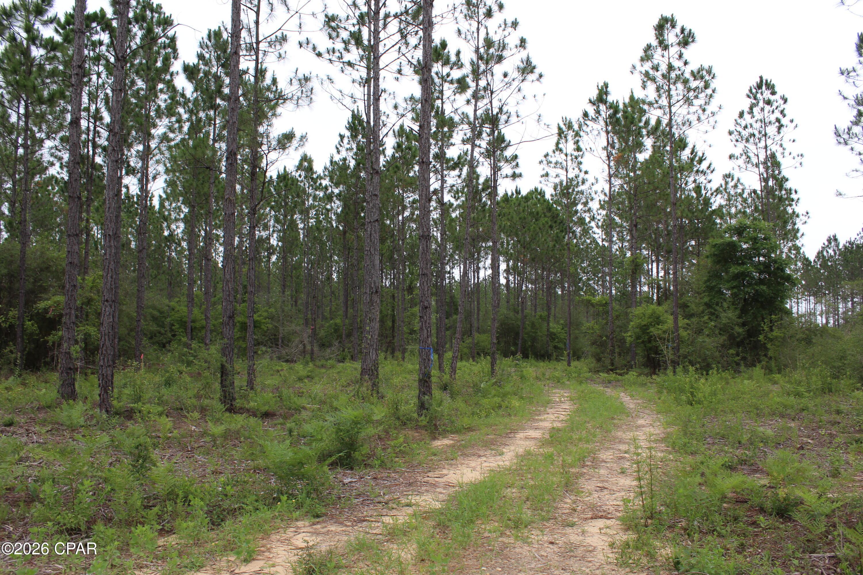 No Named Subdivision - Land