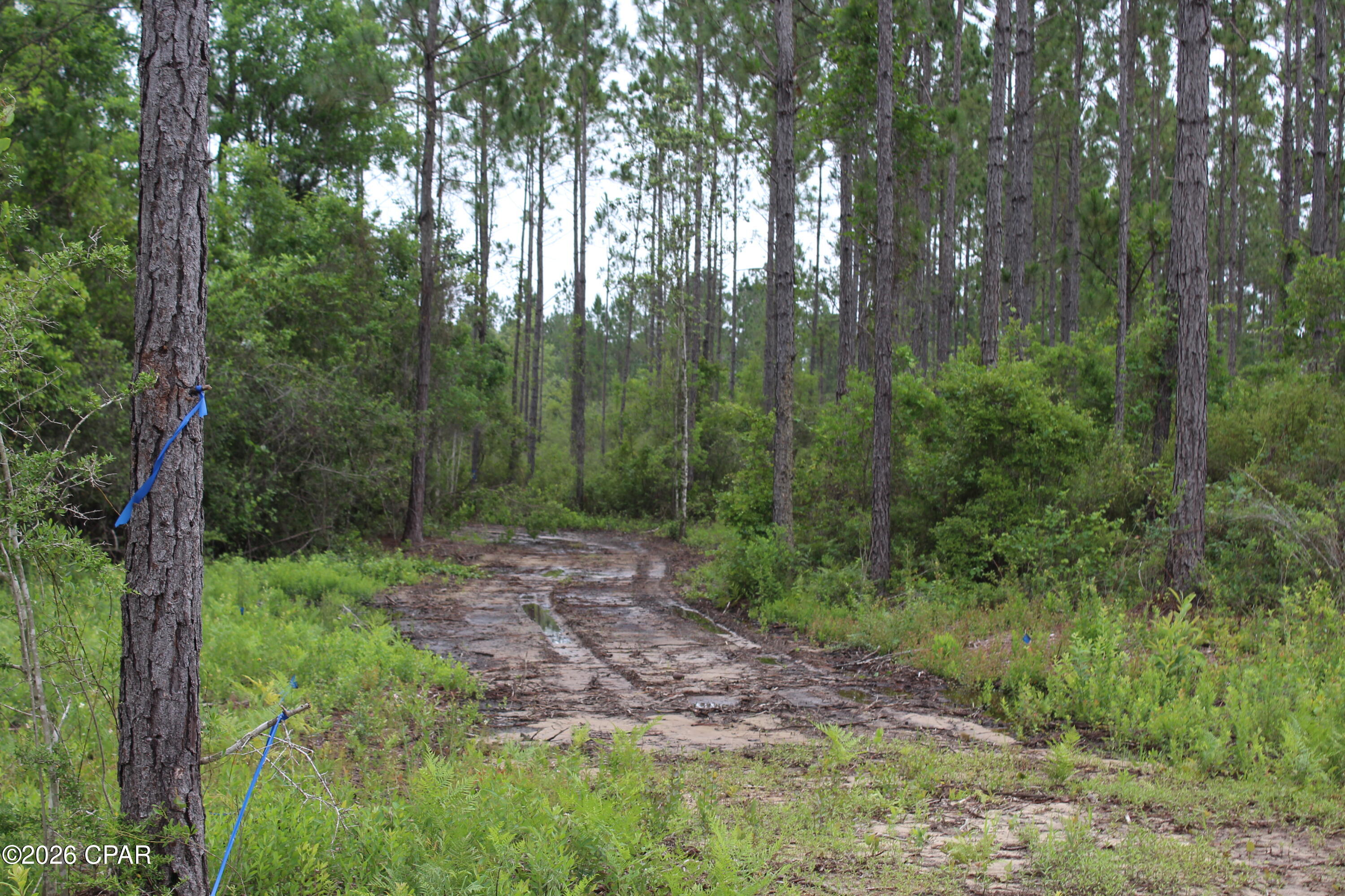 No Named Subdivision - Land
