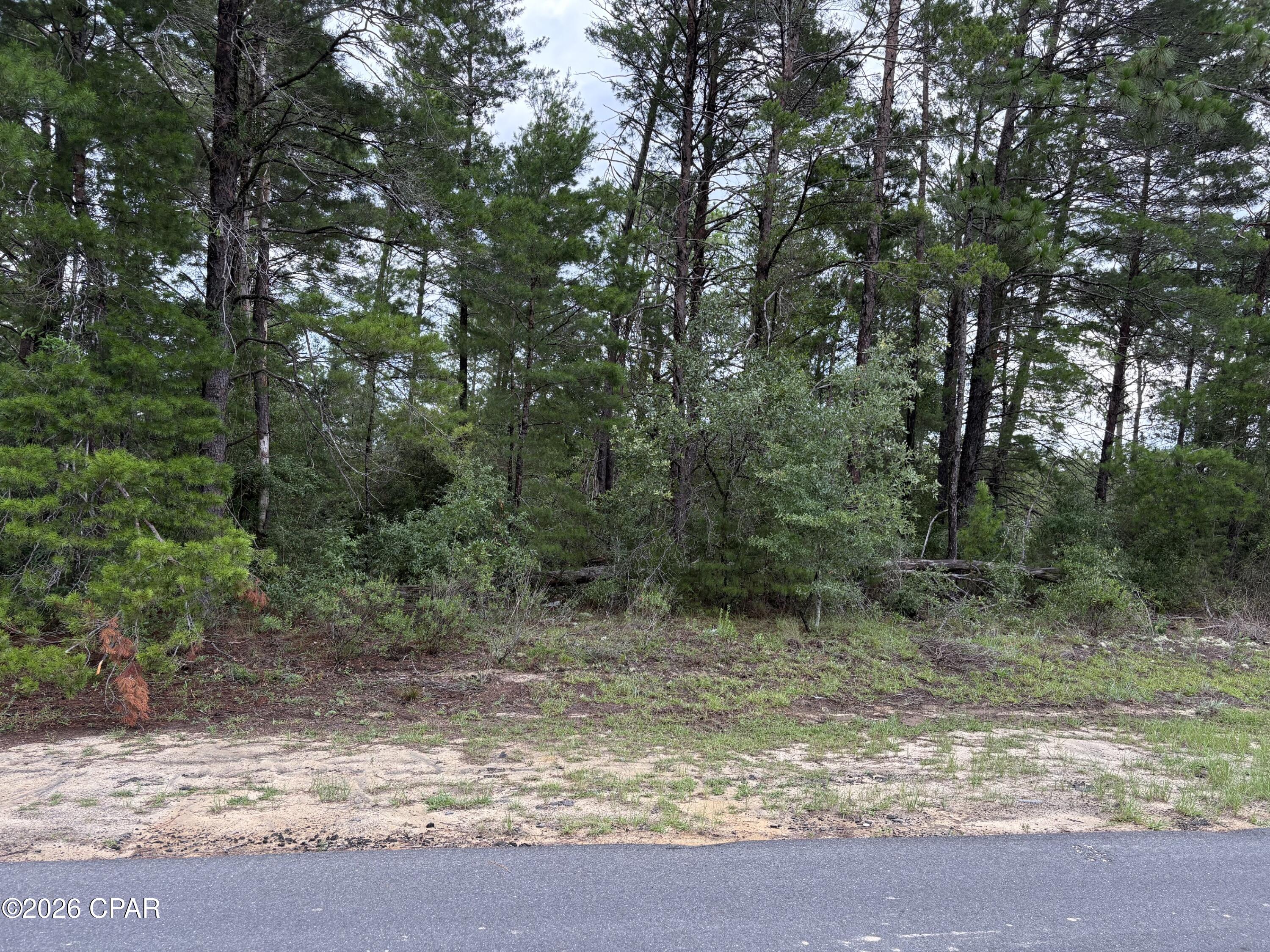 Build your Florida dream home on this beautiful level and build-ready lot in the growing Sunny Hills community of Chipley! This attractive homesite features a flat landscape with several mature specimen trees that provide character and natural beauty, while remaining lightly wooded for easy clearing.

Enjoy the convenience of power available at the road and public water service available through U.S. Water (connection fees apply), making the building process even more convenient. The lot is located on a freshly paved road in a well-maintained neighborhood where beautiful new construction homes are enhancing the area's appeal.

Conveniently situated just minutes from Highway 77, you'll have easy access to local shopping, dining, schools, and all the amenities of Chipley while enjoying the peaceful atmosphere that Sunny Hills is known for.

Whether you're planning to build your forever home or looking for a smart investment in a growing community, this property offers an excellent opportunity in a desirable location.