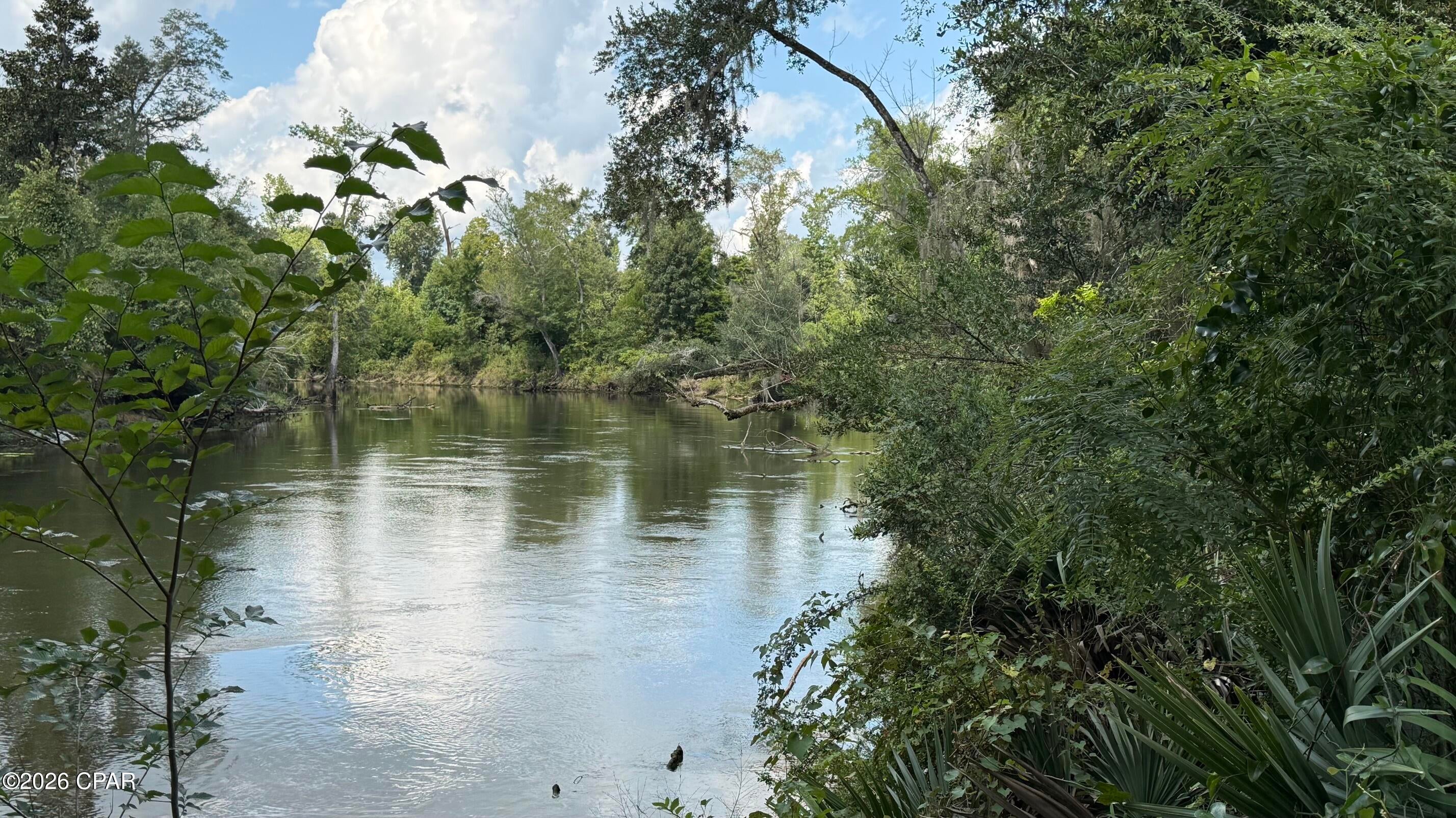 Discover a rare investment opportunity on the Chipola River near Marianna, FL with this property located on Turtle Bend Ln. Build your waterfront home and enjoy freshwater fishing, swimming, canoeing & hunting. Don't miss the chance to buy this beautiful, rare find on Chipola River.