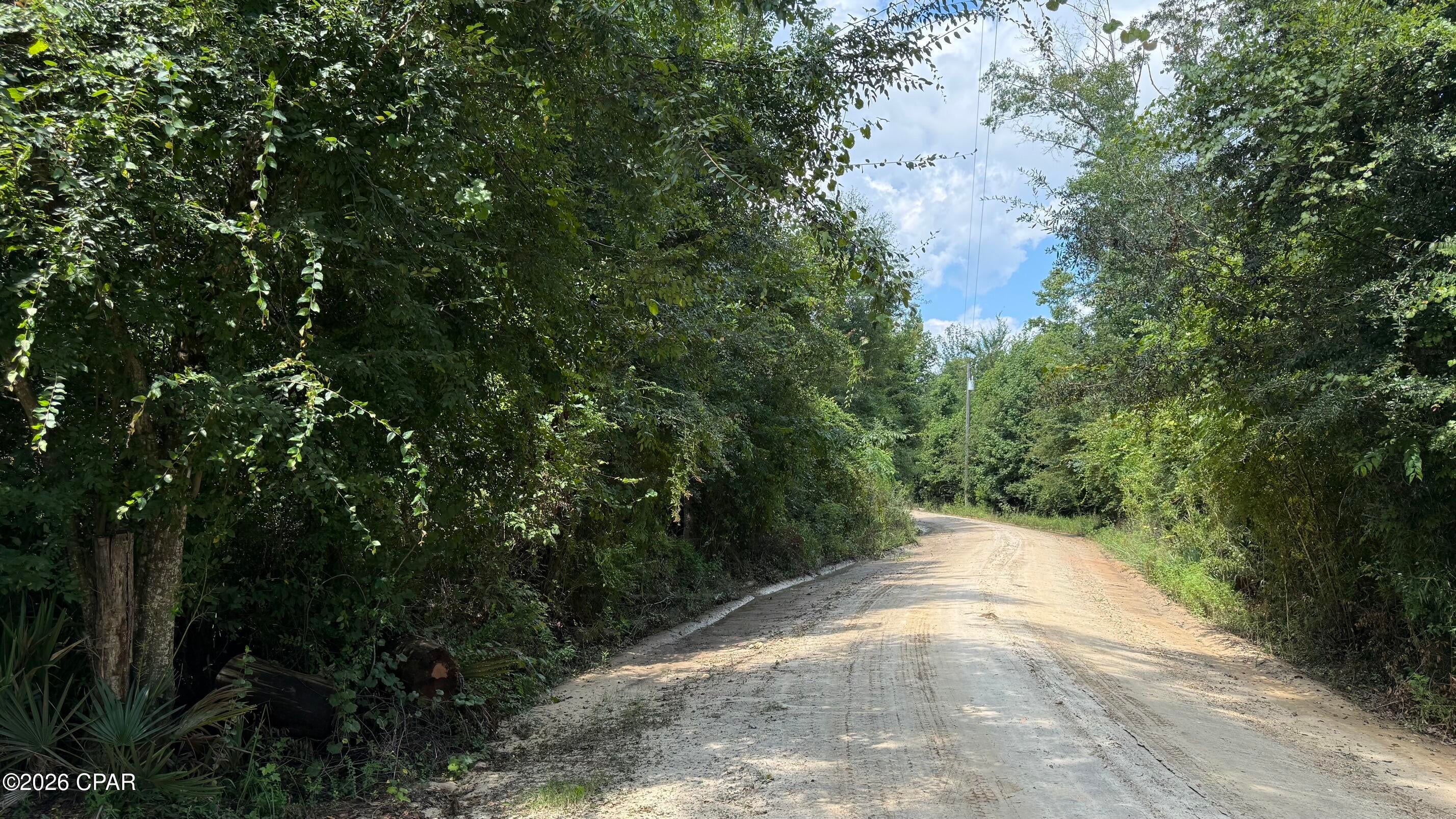 Chipola River - Land