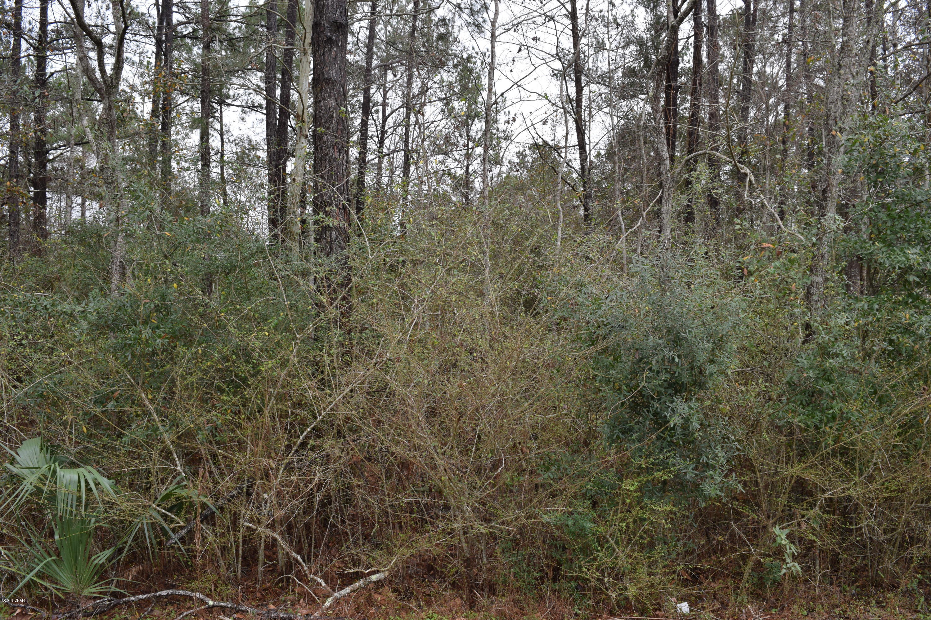 1 Acre of land at a great price!