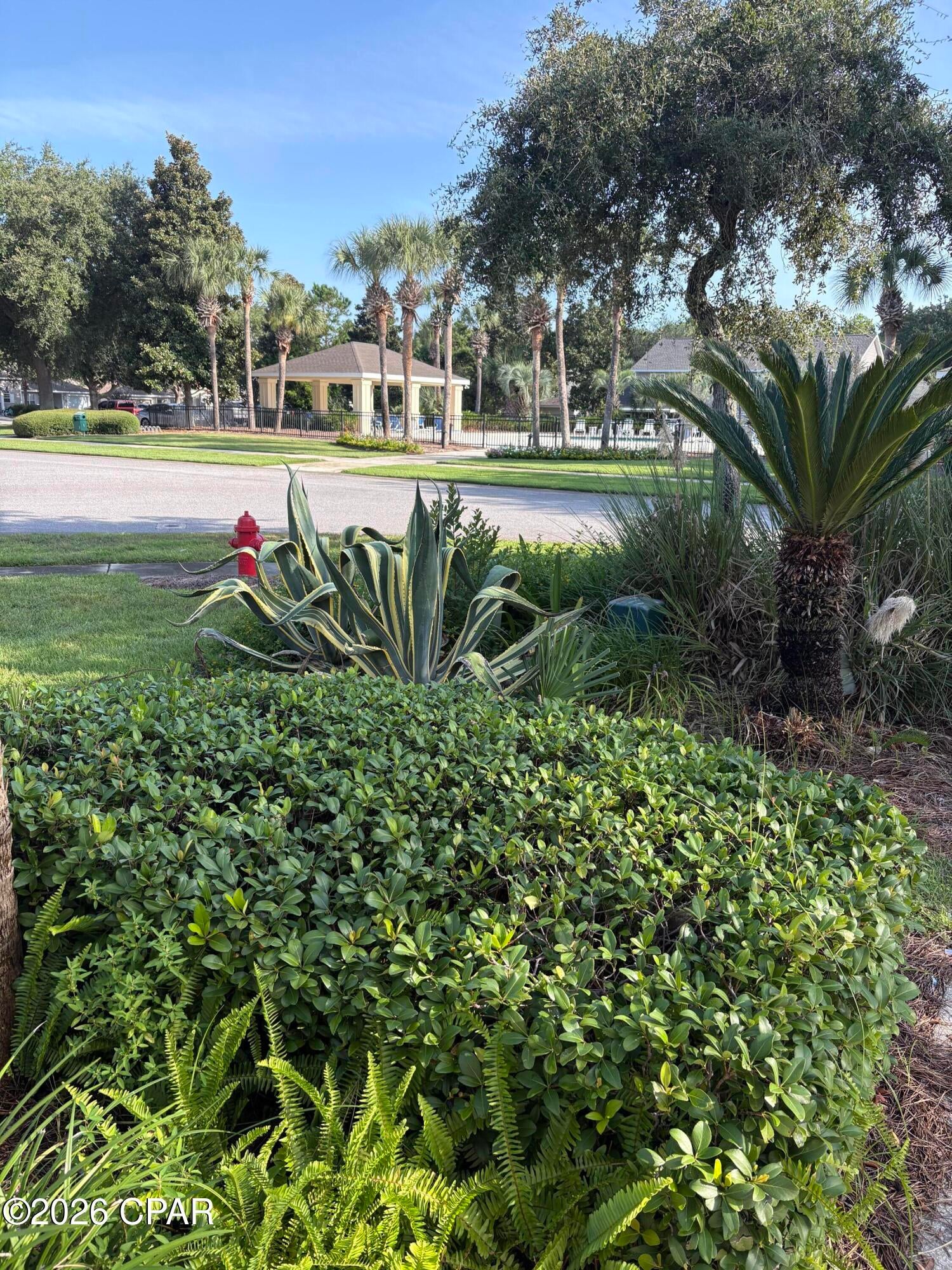 Palmetto Trace Phase 1 - Residential
