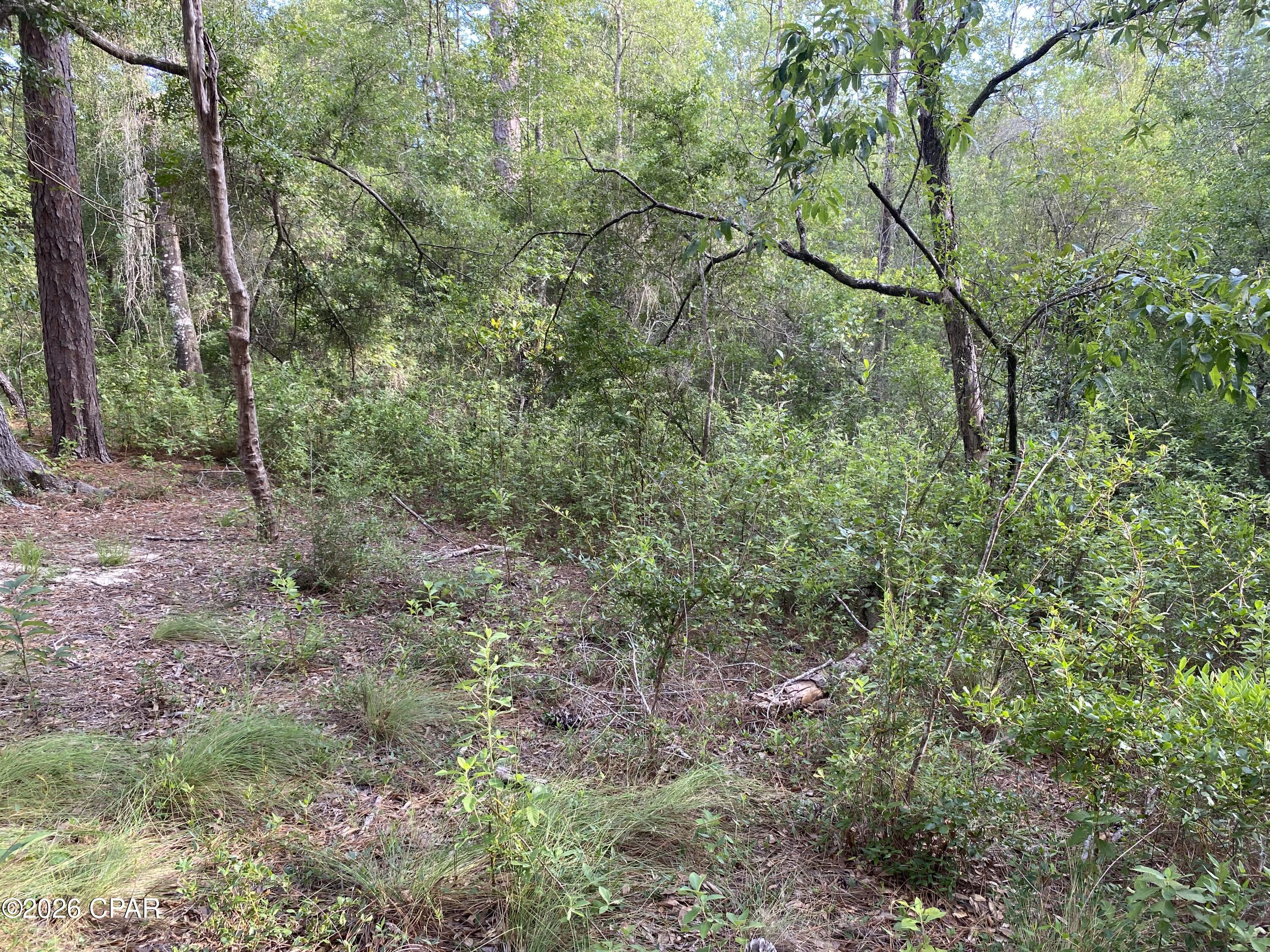 Compass Lake Hills Unit 6 - Land