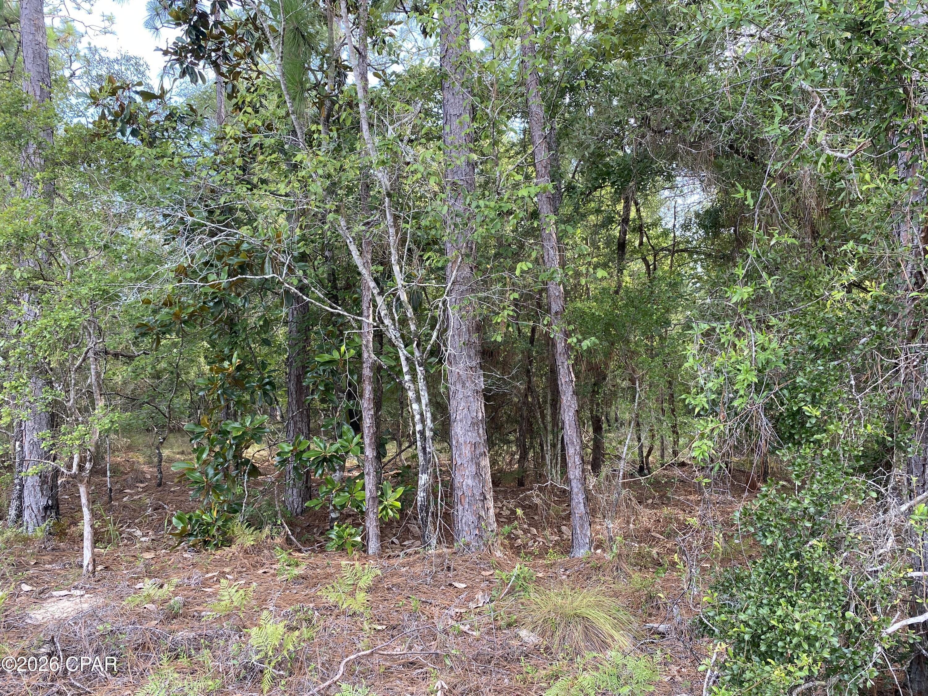 Compass Lake Hills Unit 6 - Land
