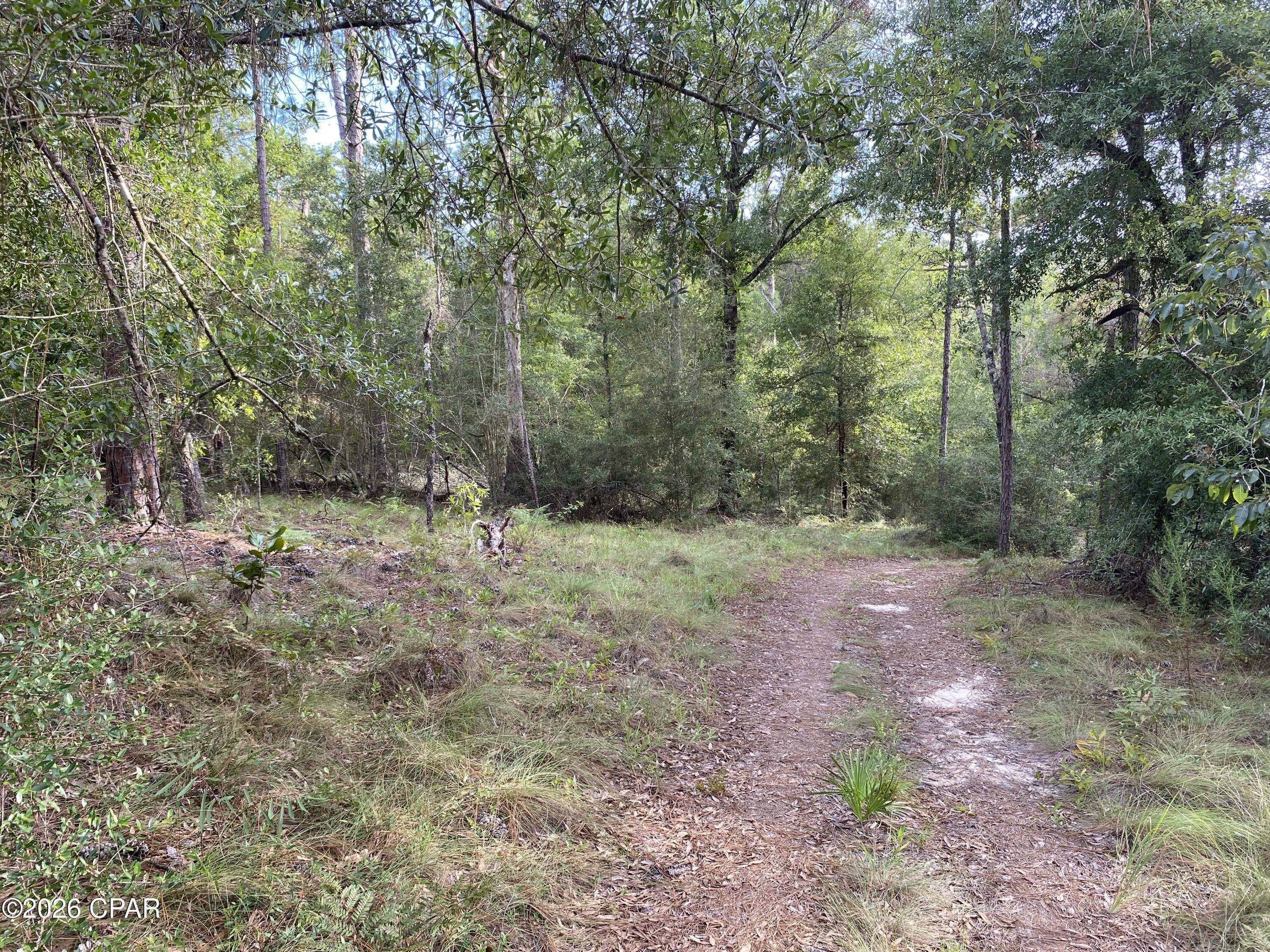 Compass Lake Hills Unit 6 - Land