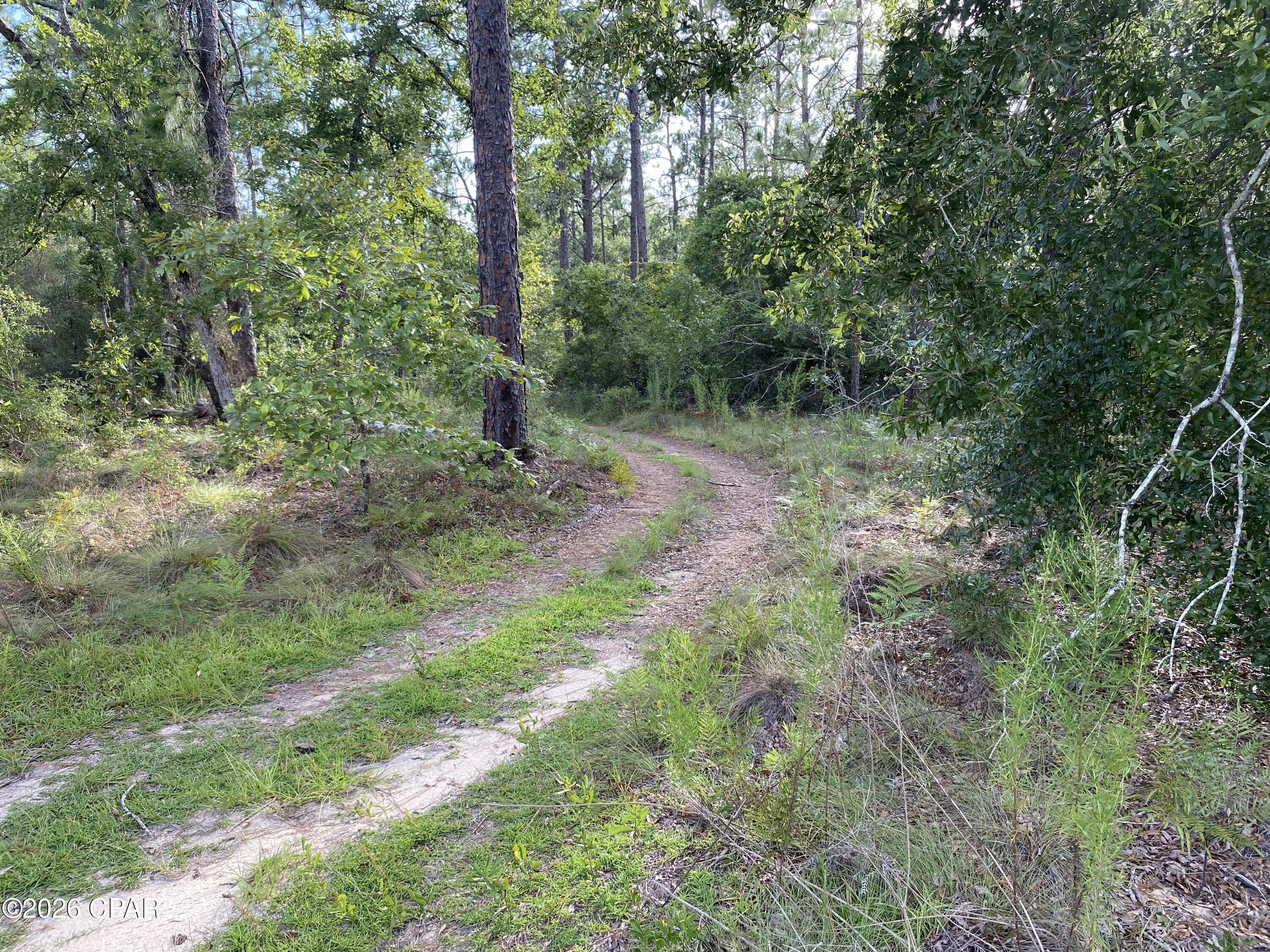 Nice wooded lot not far from Compass Lake. Backs up to the conservation area which has a small spring fed clear creek flowing right behind this parcel. The seller owns the adjoining property and it is also available, it is listed for $14,000. Buy them both for a nice large parcel. There is a voluntary HOA (not mandatory). If you choose to participate it will give access to all the amenities of the community such as the Lodge with swimming pool, cabin rentals, RV spots, and more.
