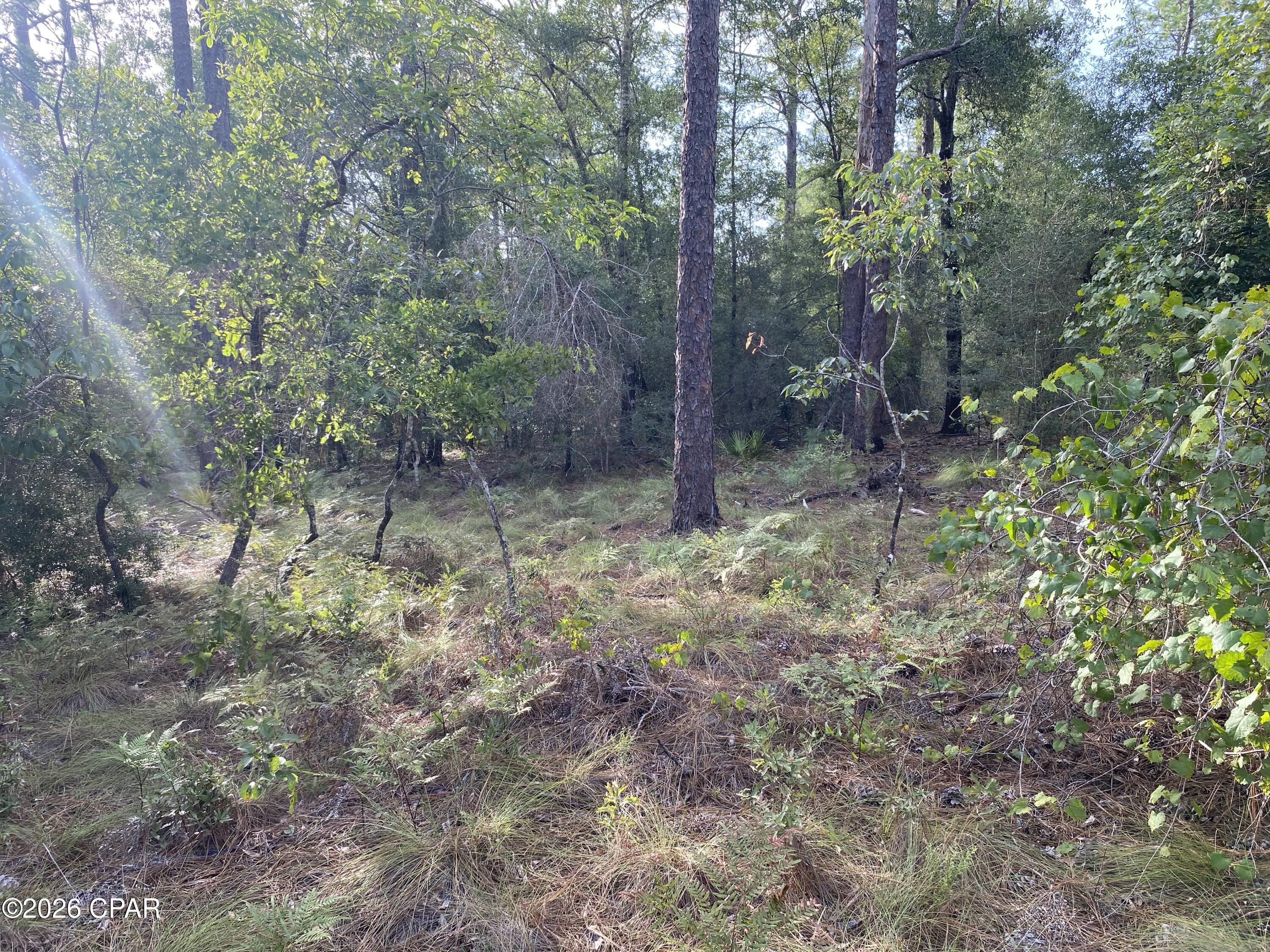 Compass Lake Hills Unit 6 - Land