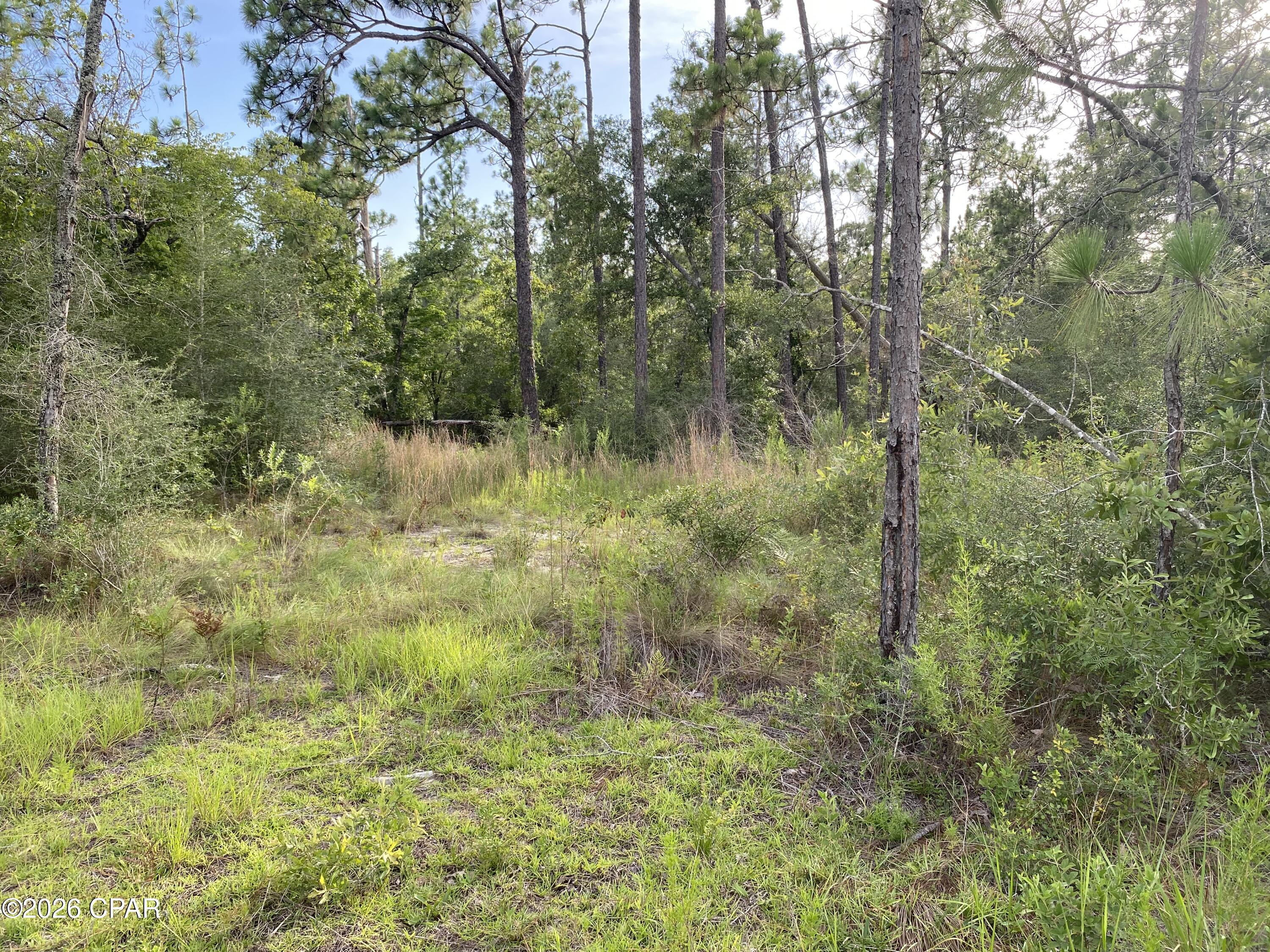 Compass Lake Hills Unit 6 - Land