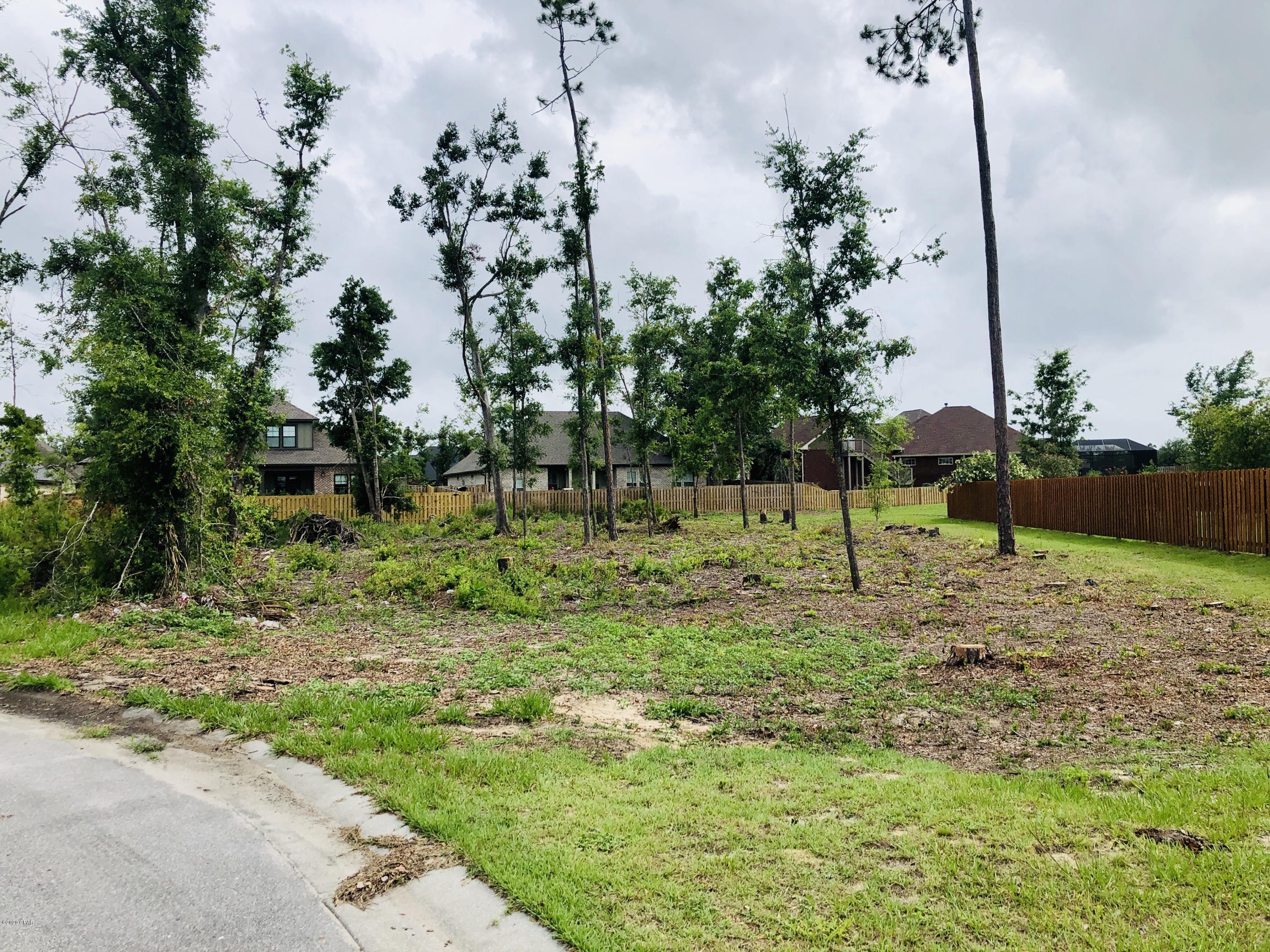The Meadows & The Pointe - Land