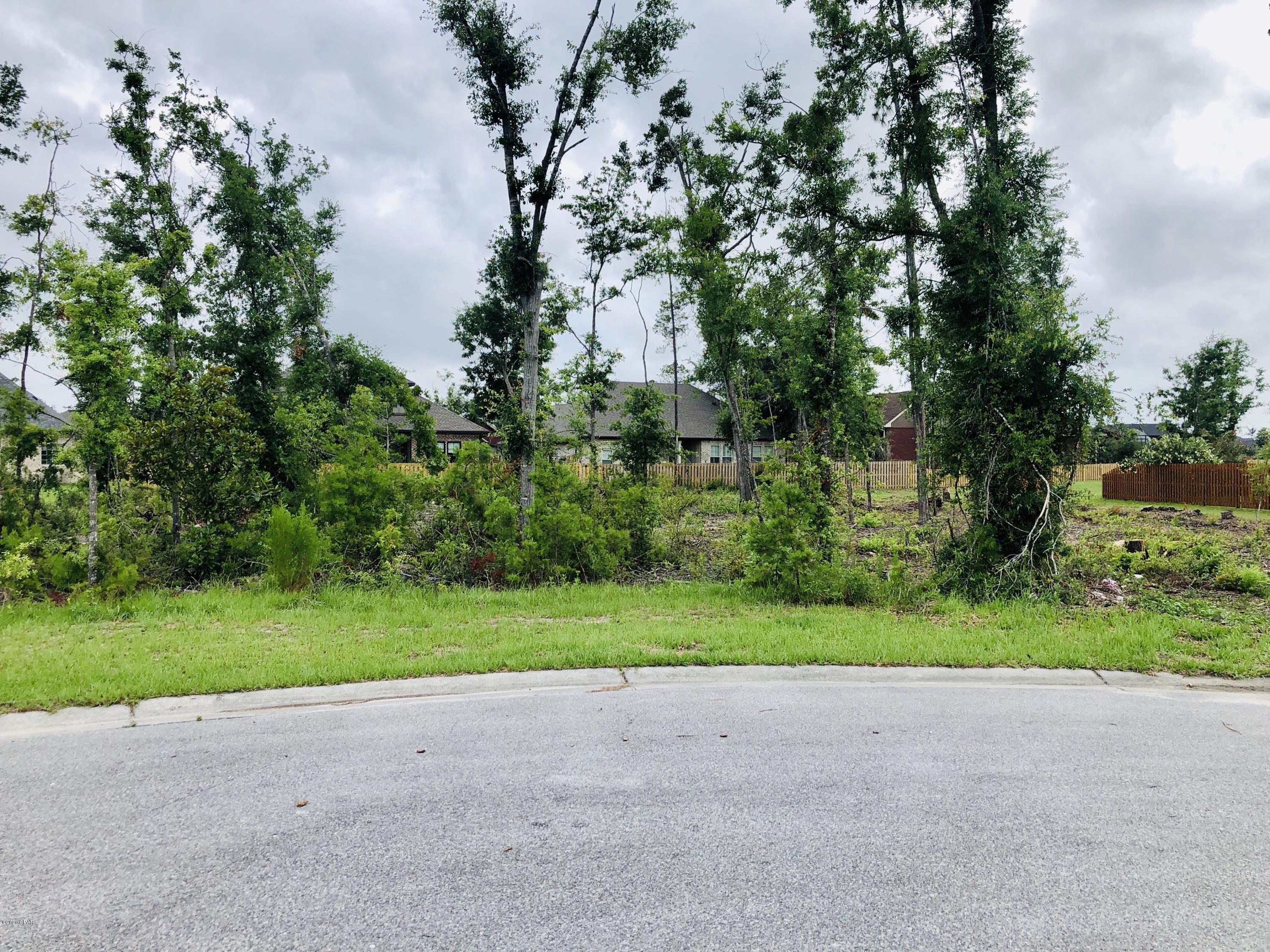 The Meadows & The Pointe - Land