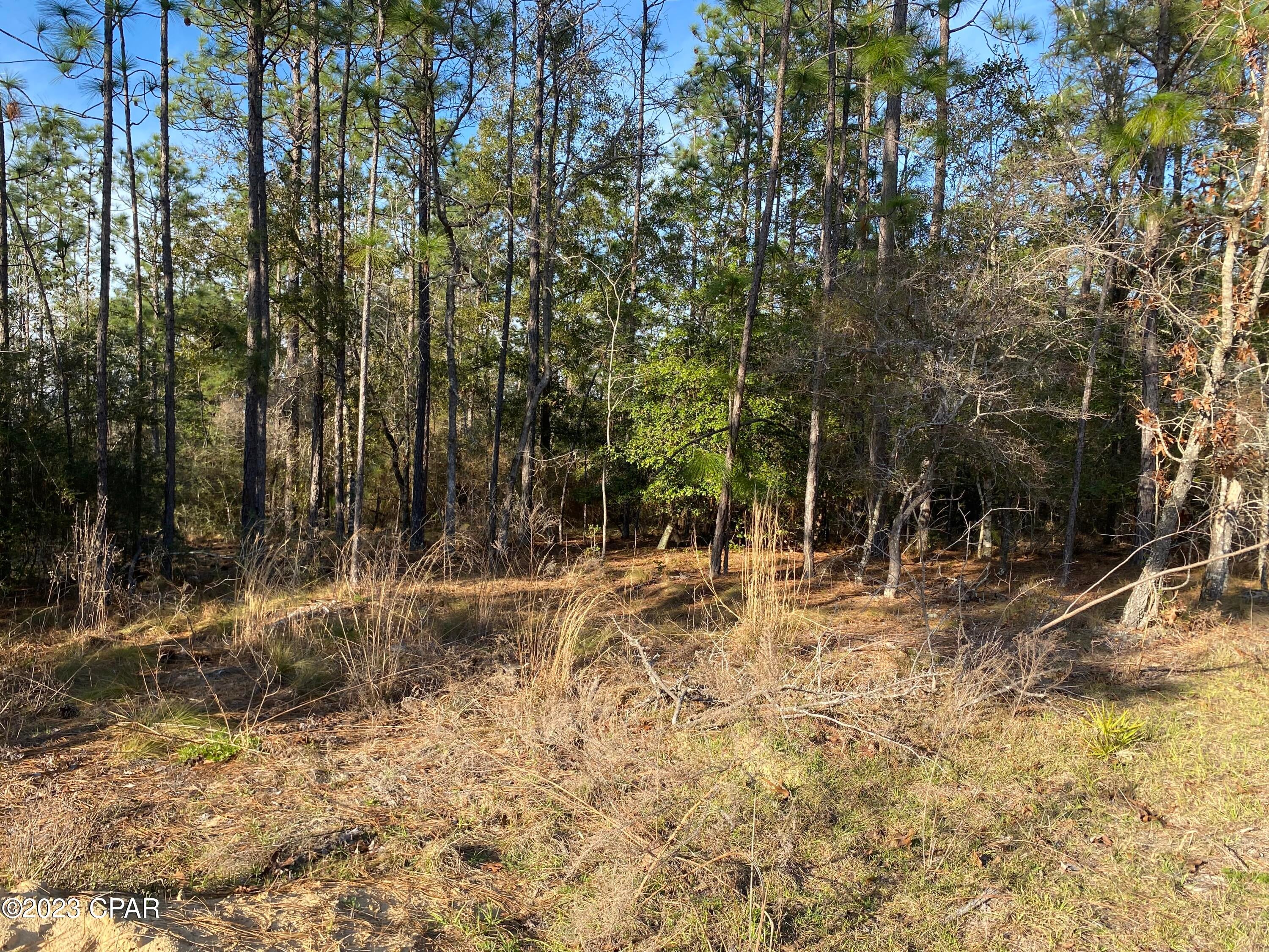 Compass Lake Hills Unit 6 - Land